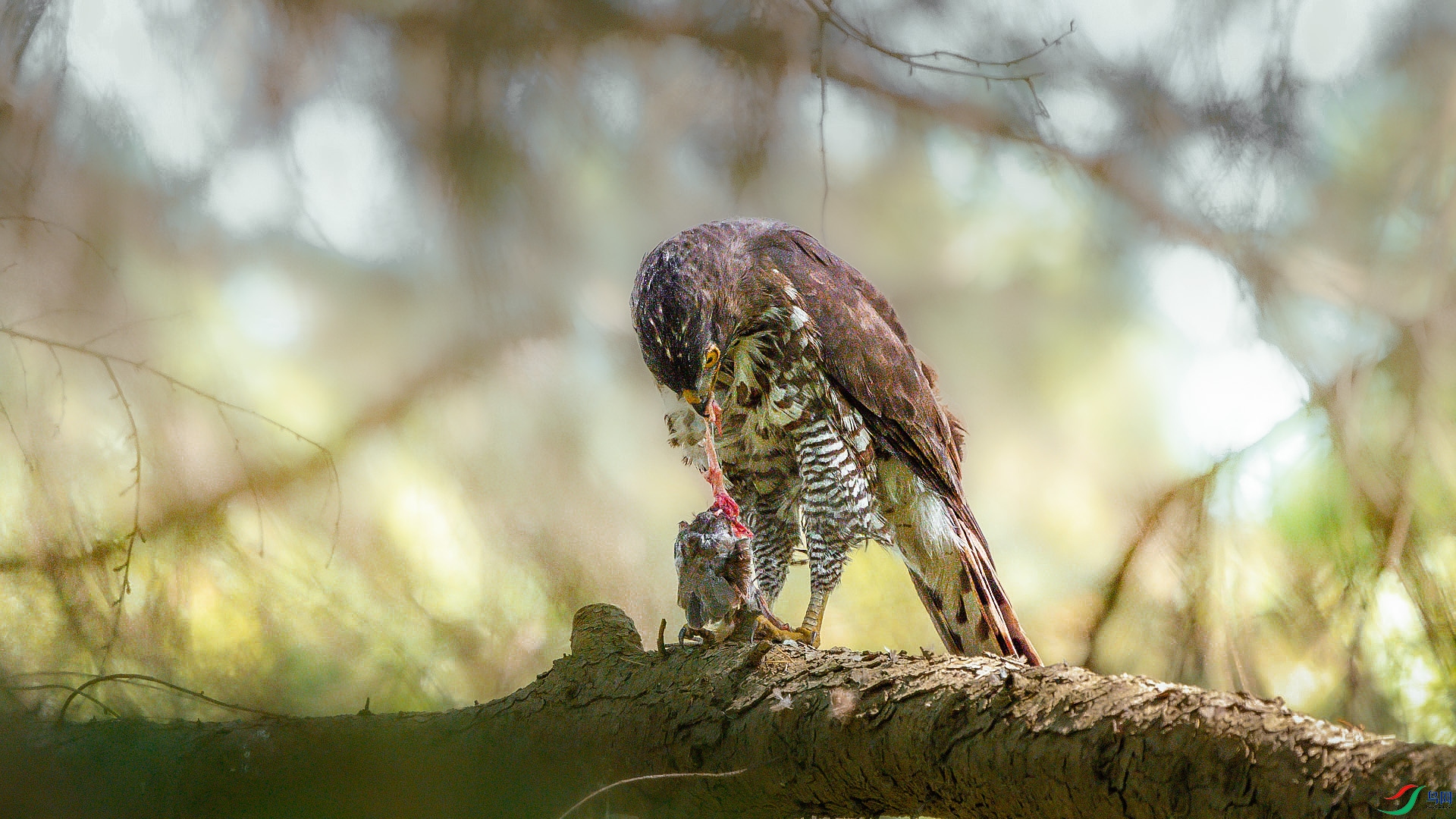 DSC_6134.jpg