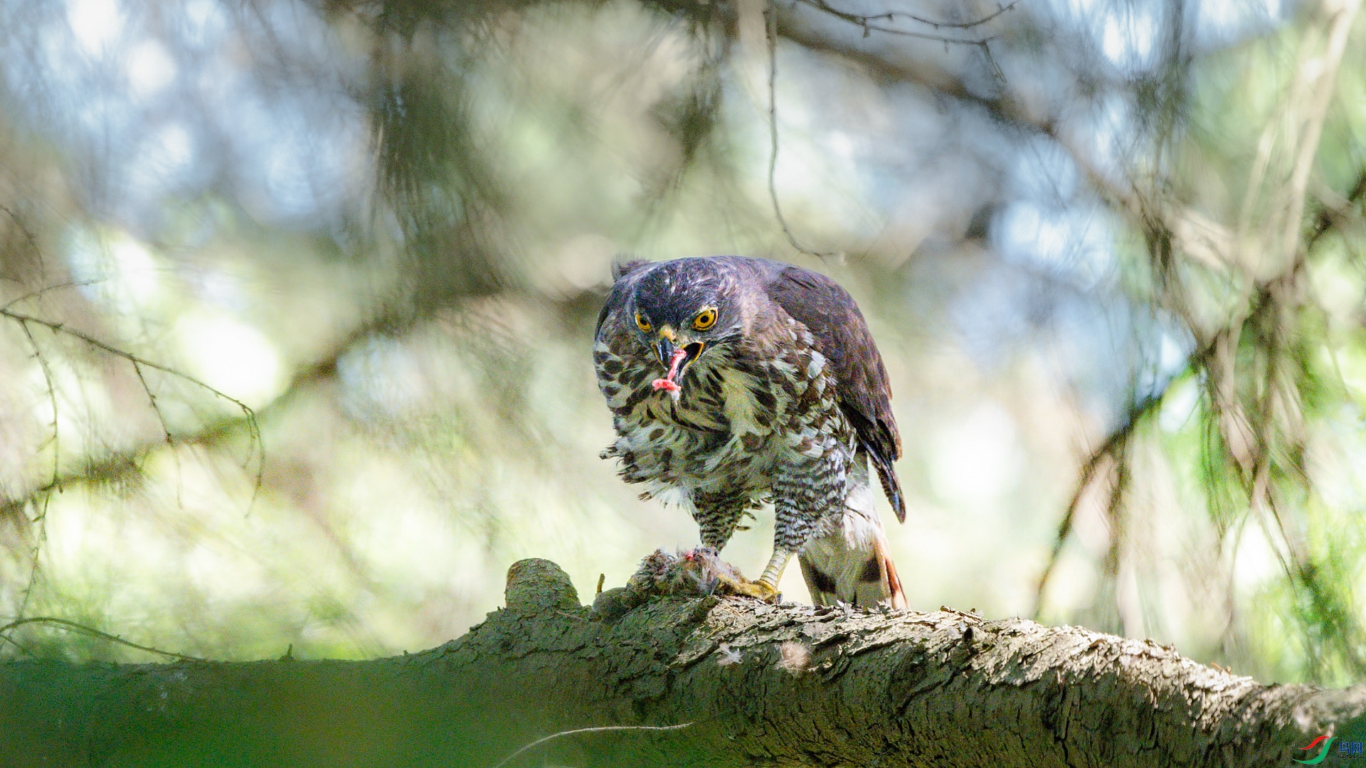 DSC_6194.jpg