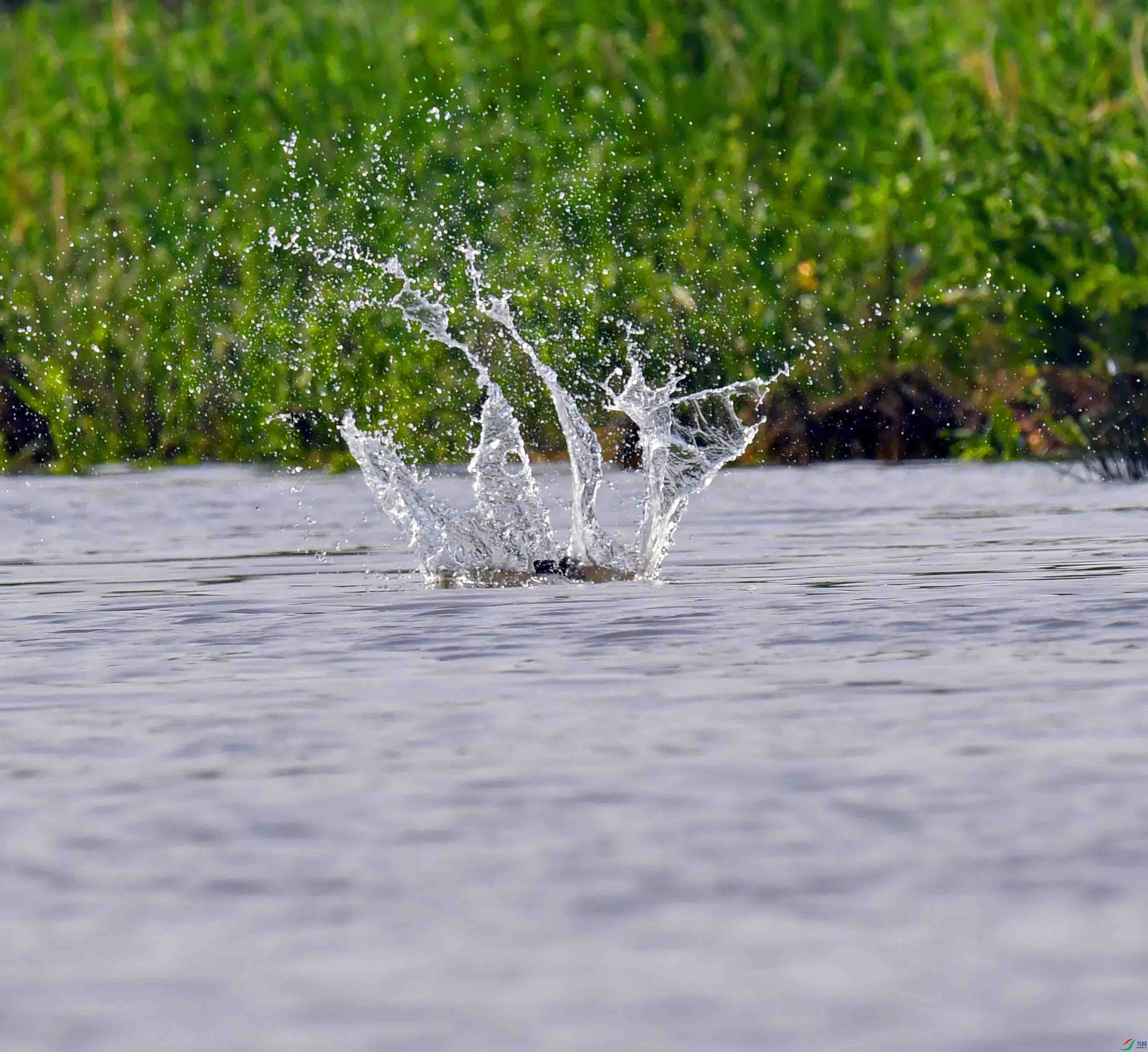 DSC_1693.JPG