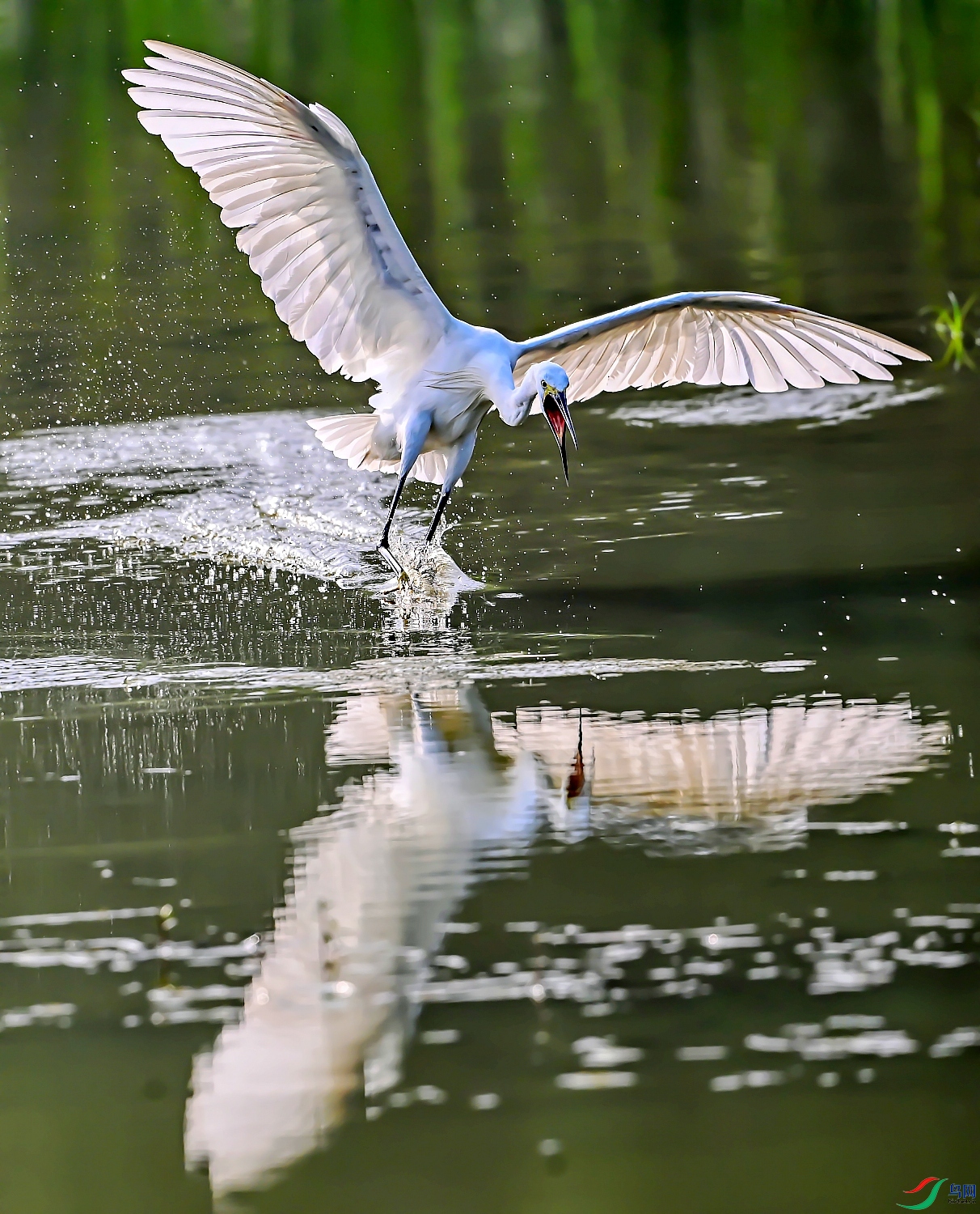 DSC_5252---_conew1.jpg
