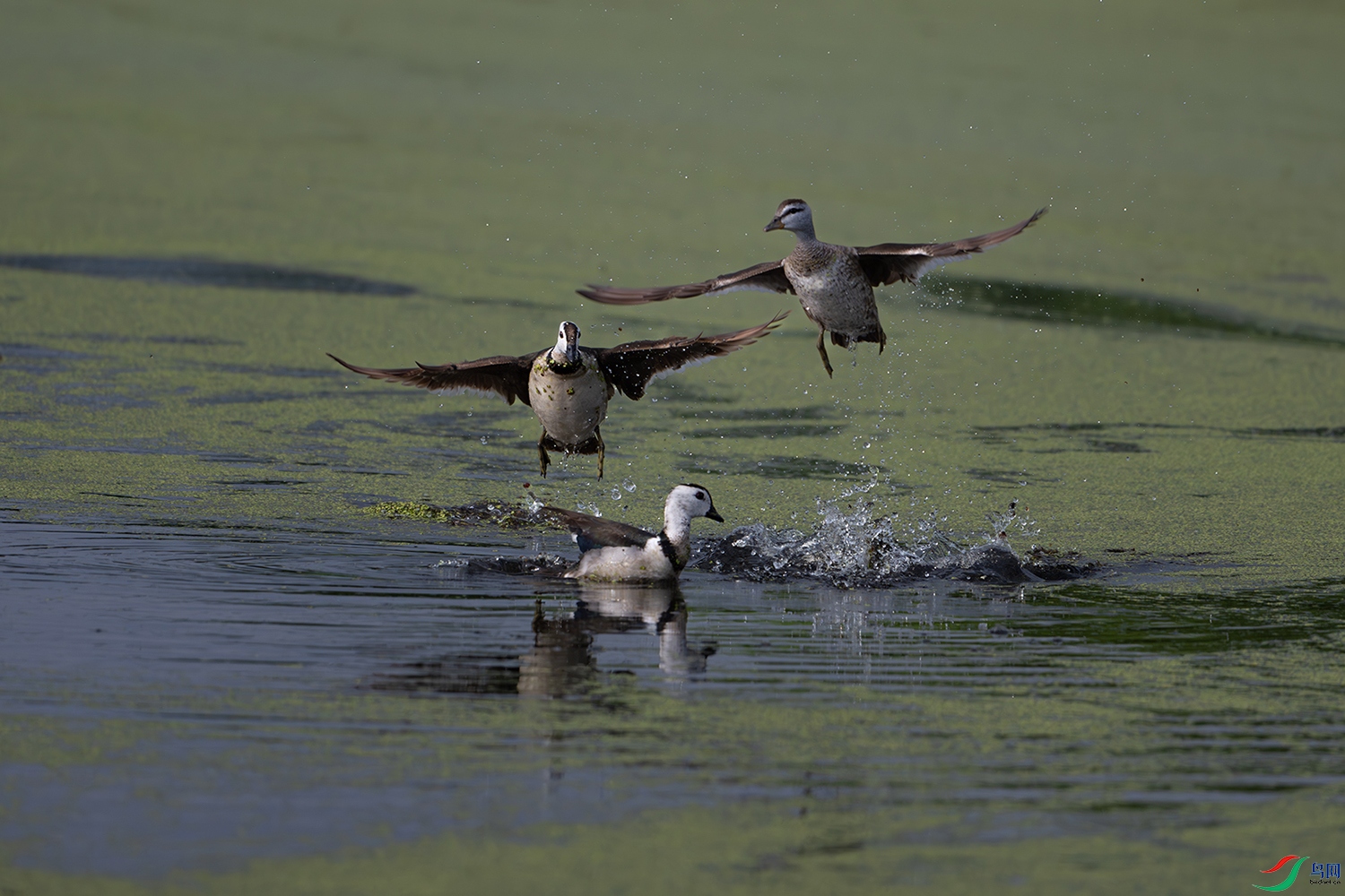 _DSC0044-����ǿ-NR ���� 2.jpg