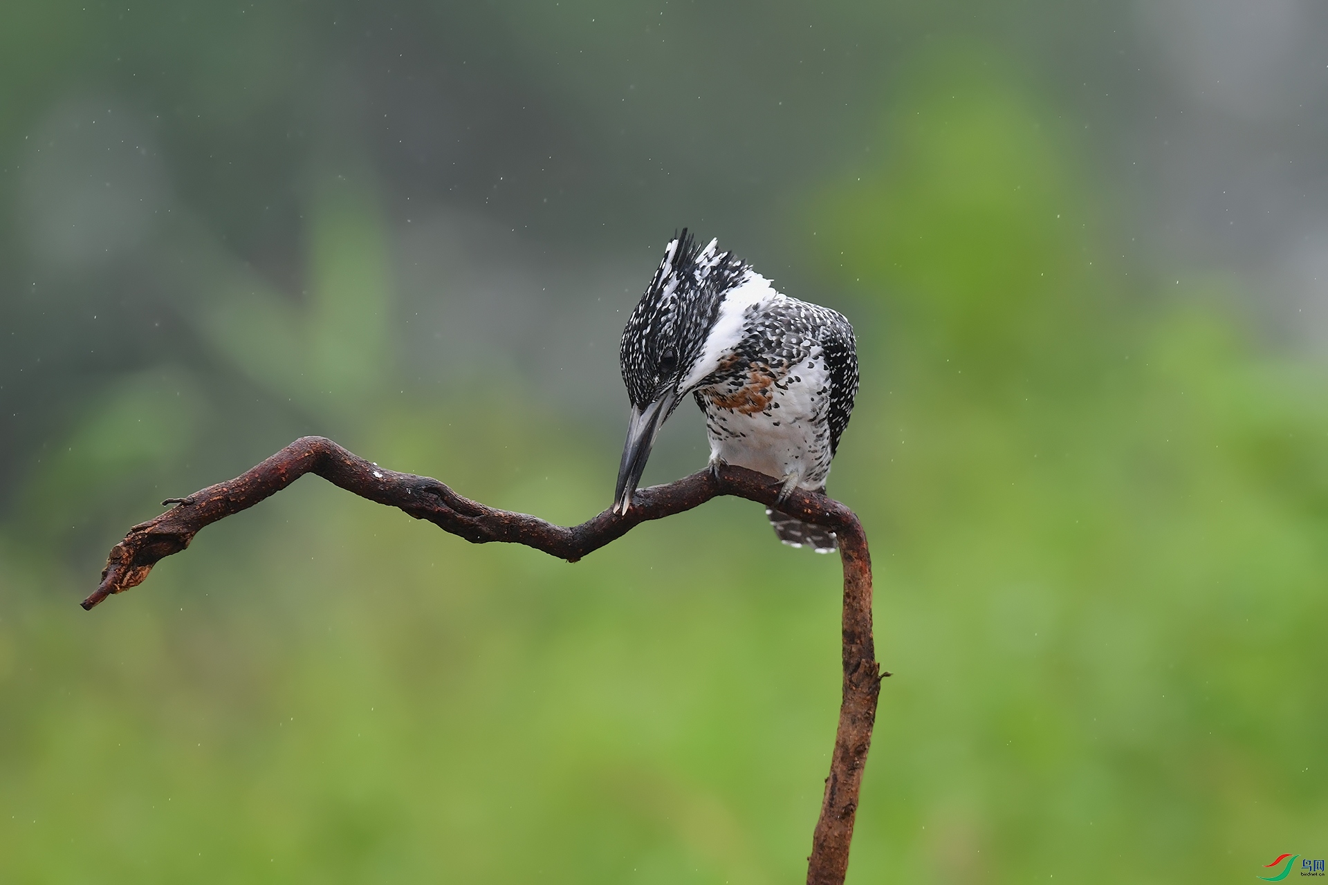 DSC_4738_DxOa.jpg