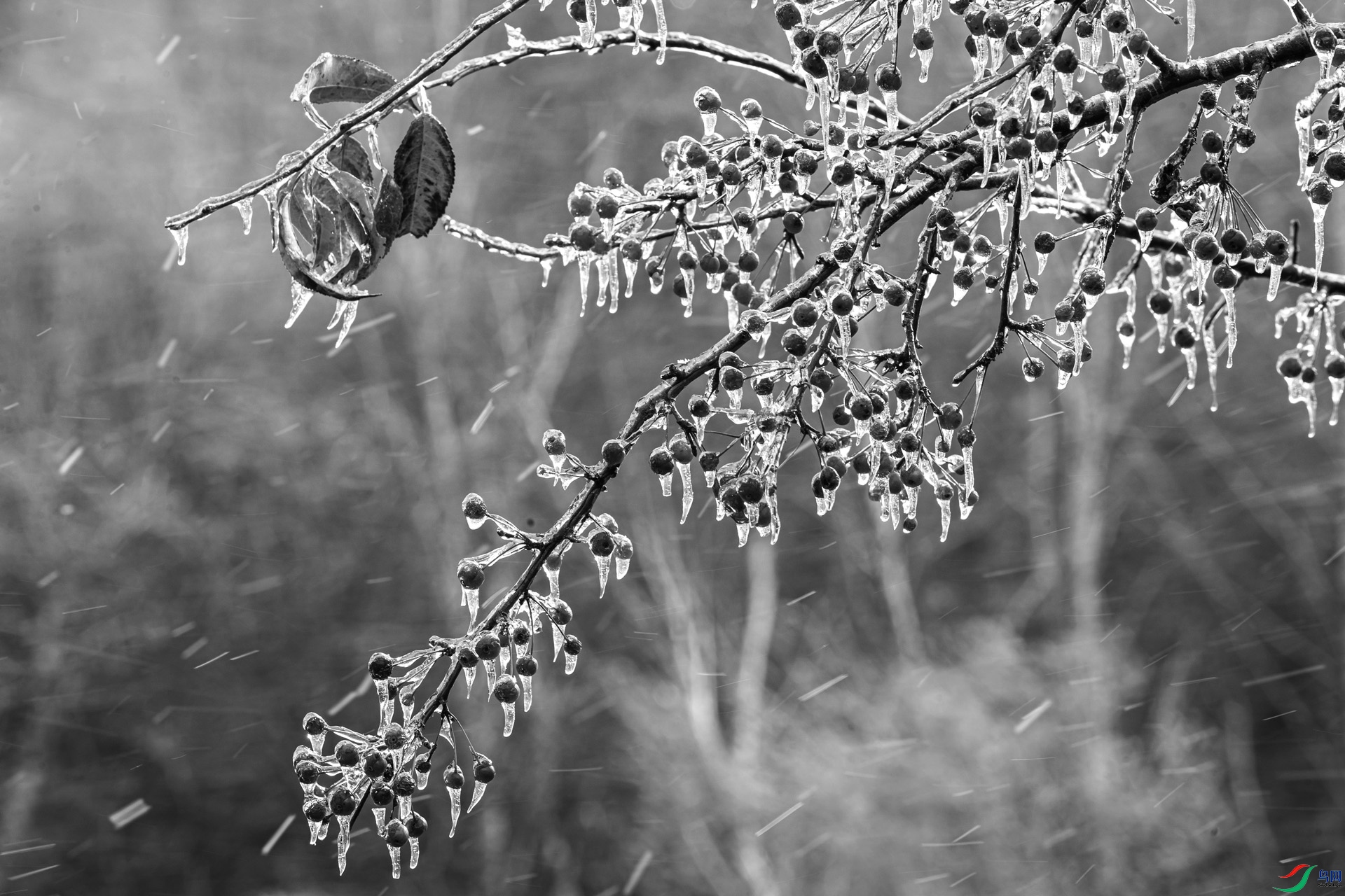 _DSC10920.jpg