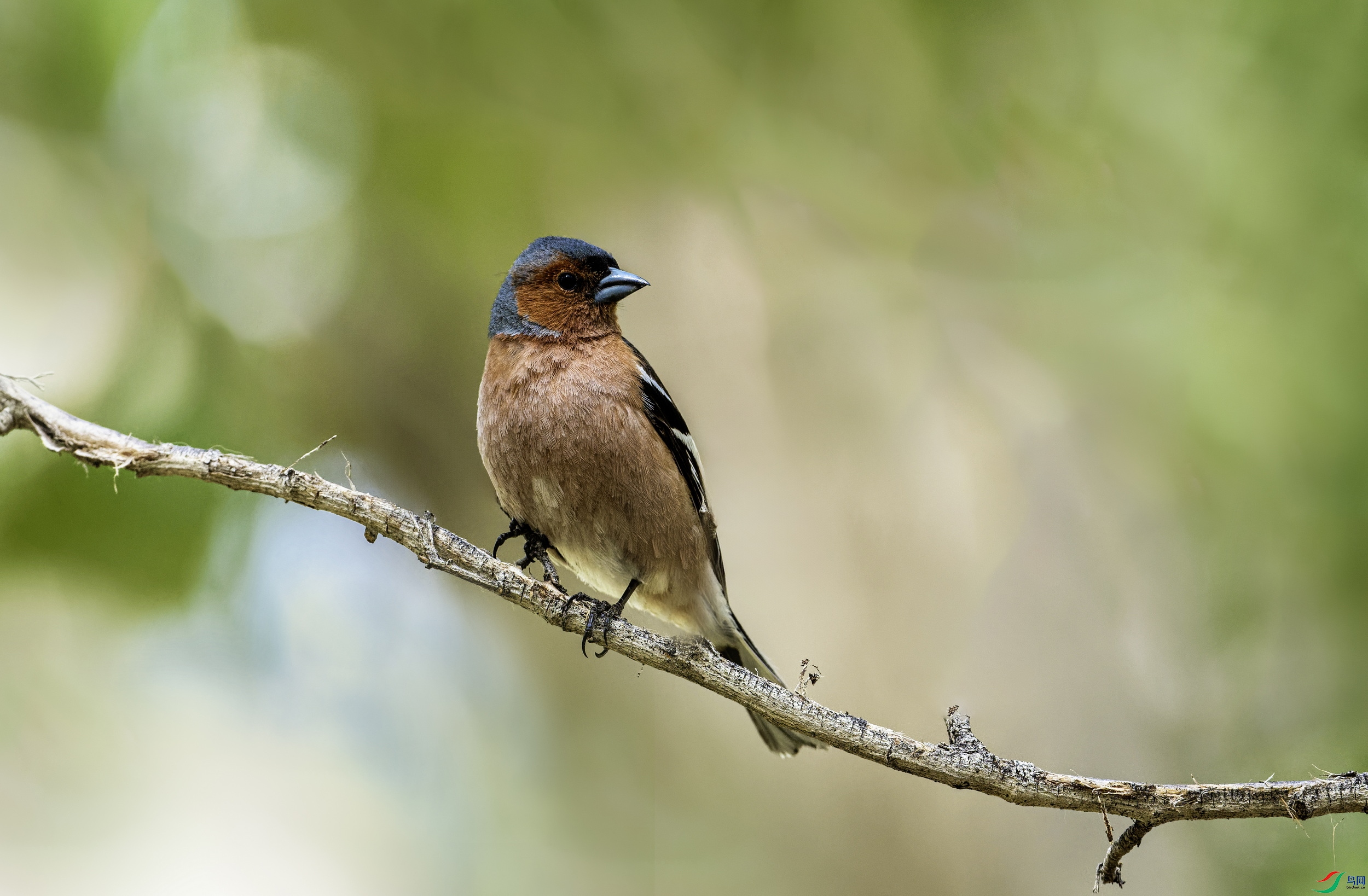 ��ͷ��ȸ (229)-01.jpg