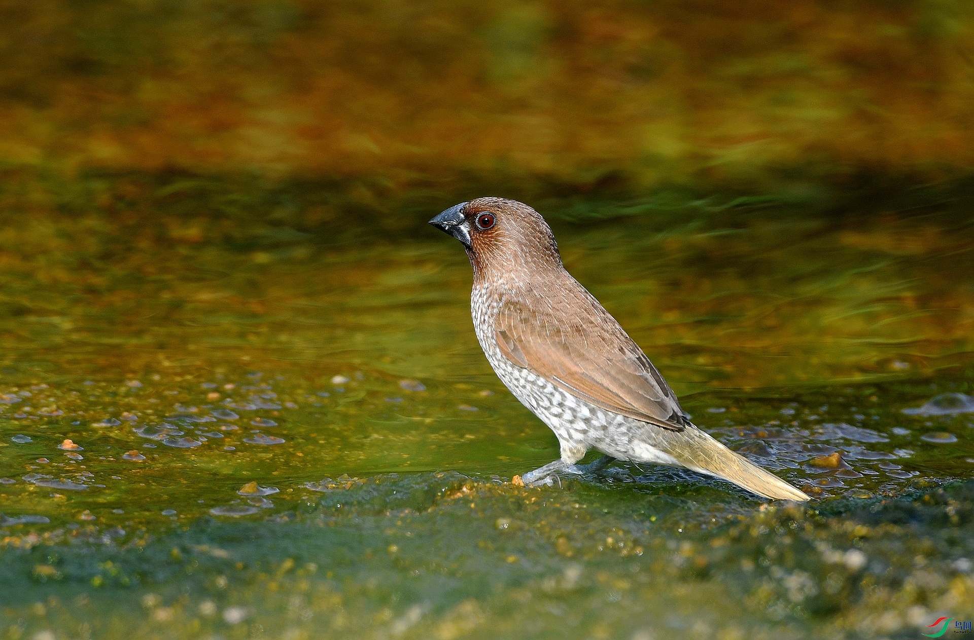 DSC_6506.jpg