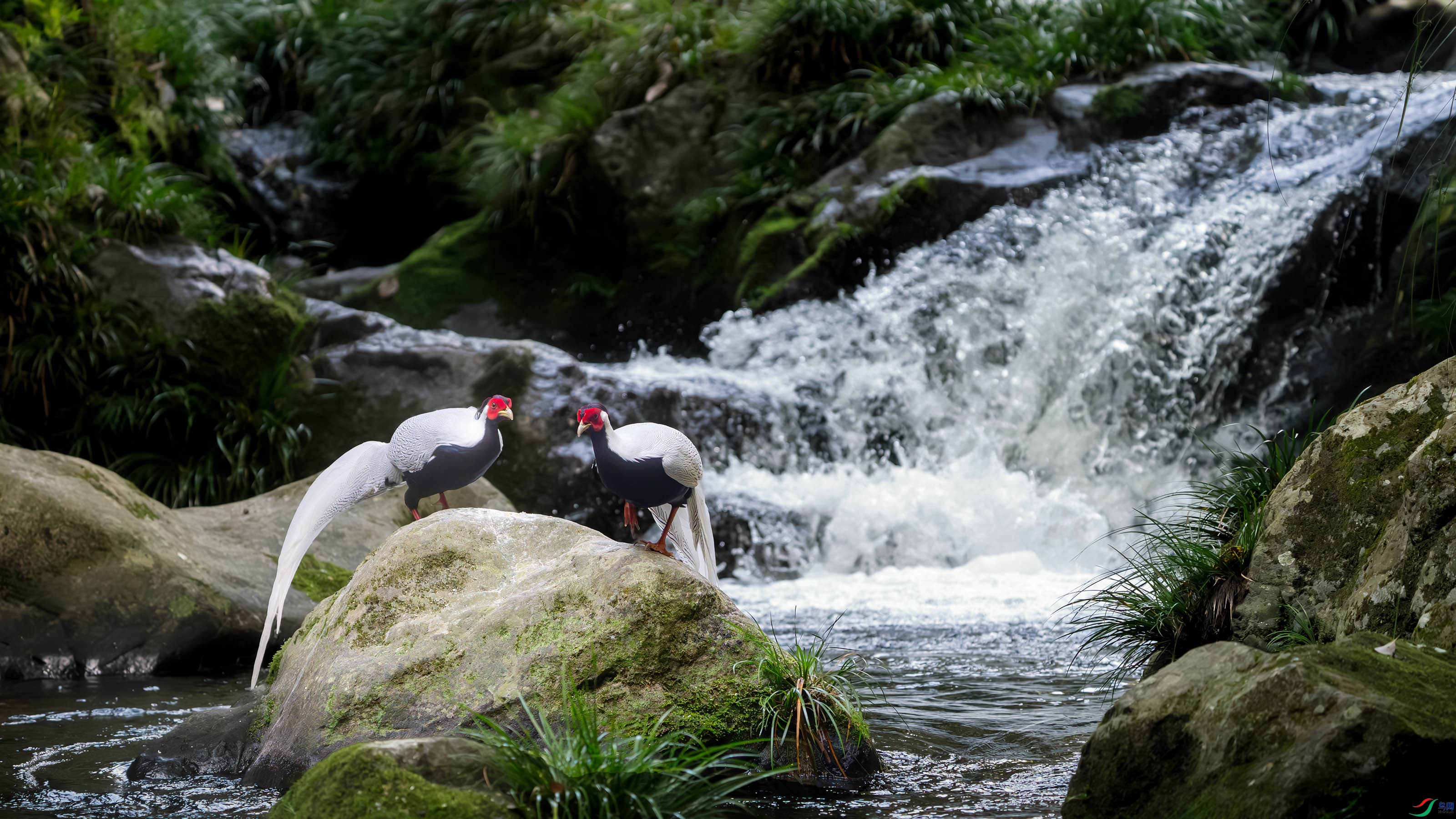 ZZX01070 ����.jpg