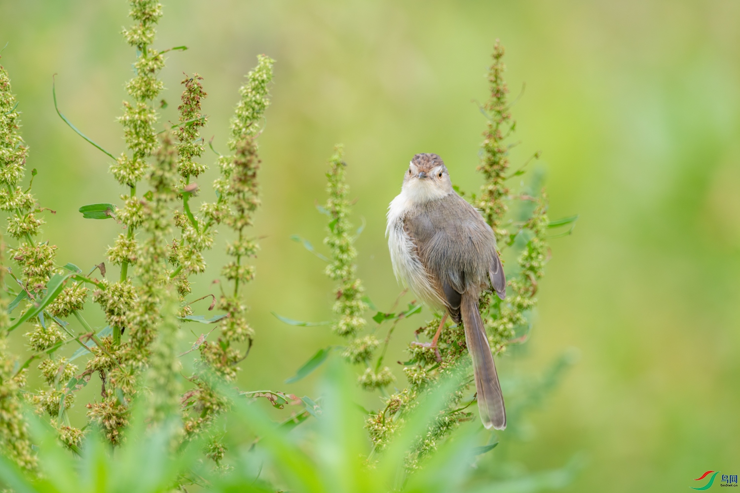 DSC_5520_1.JPG