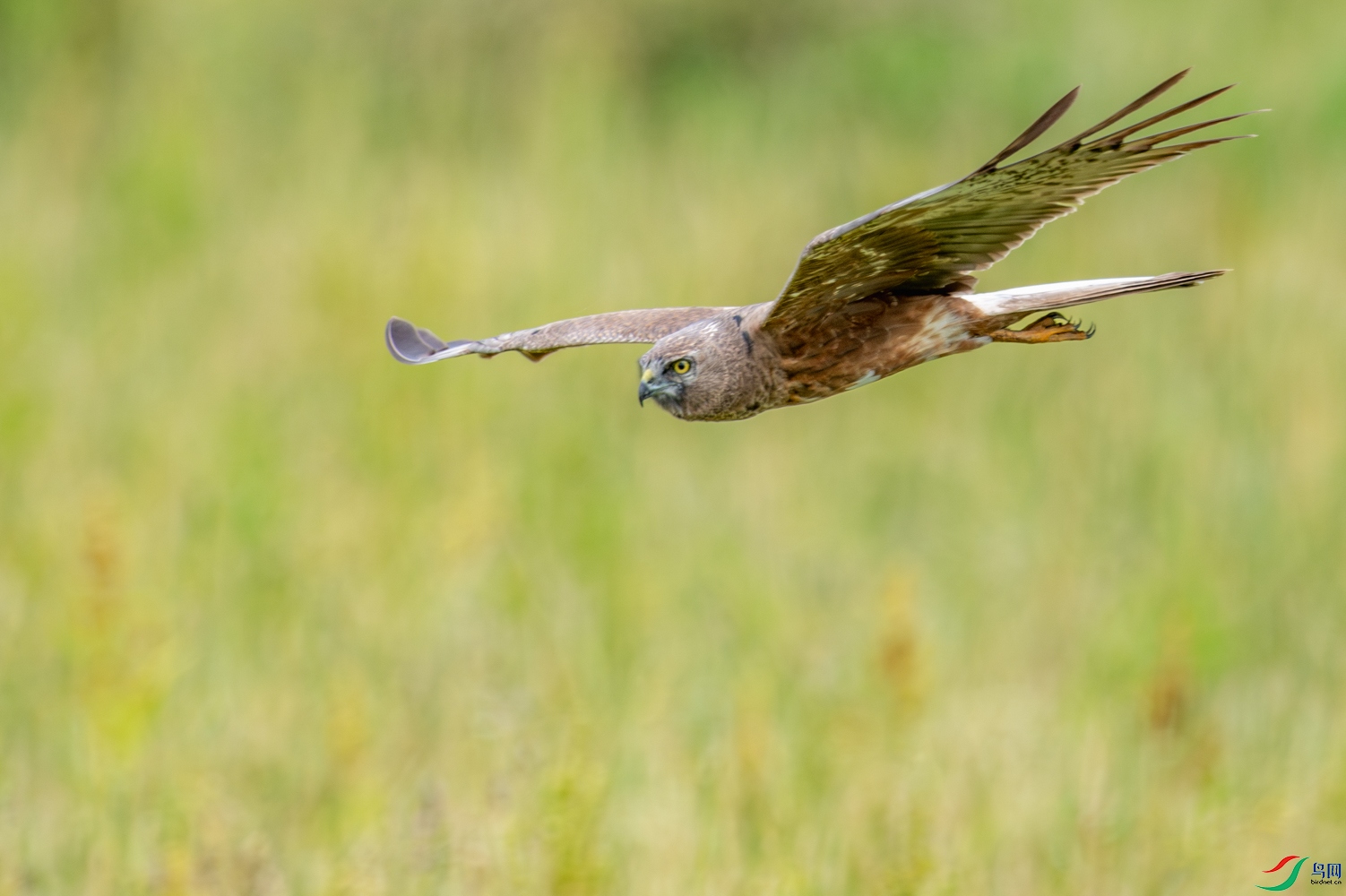 DSC_5826_1.JPG