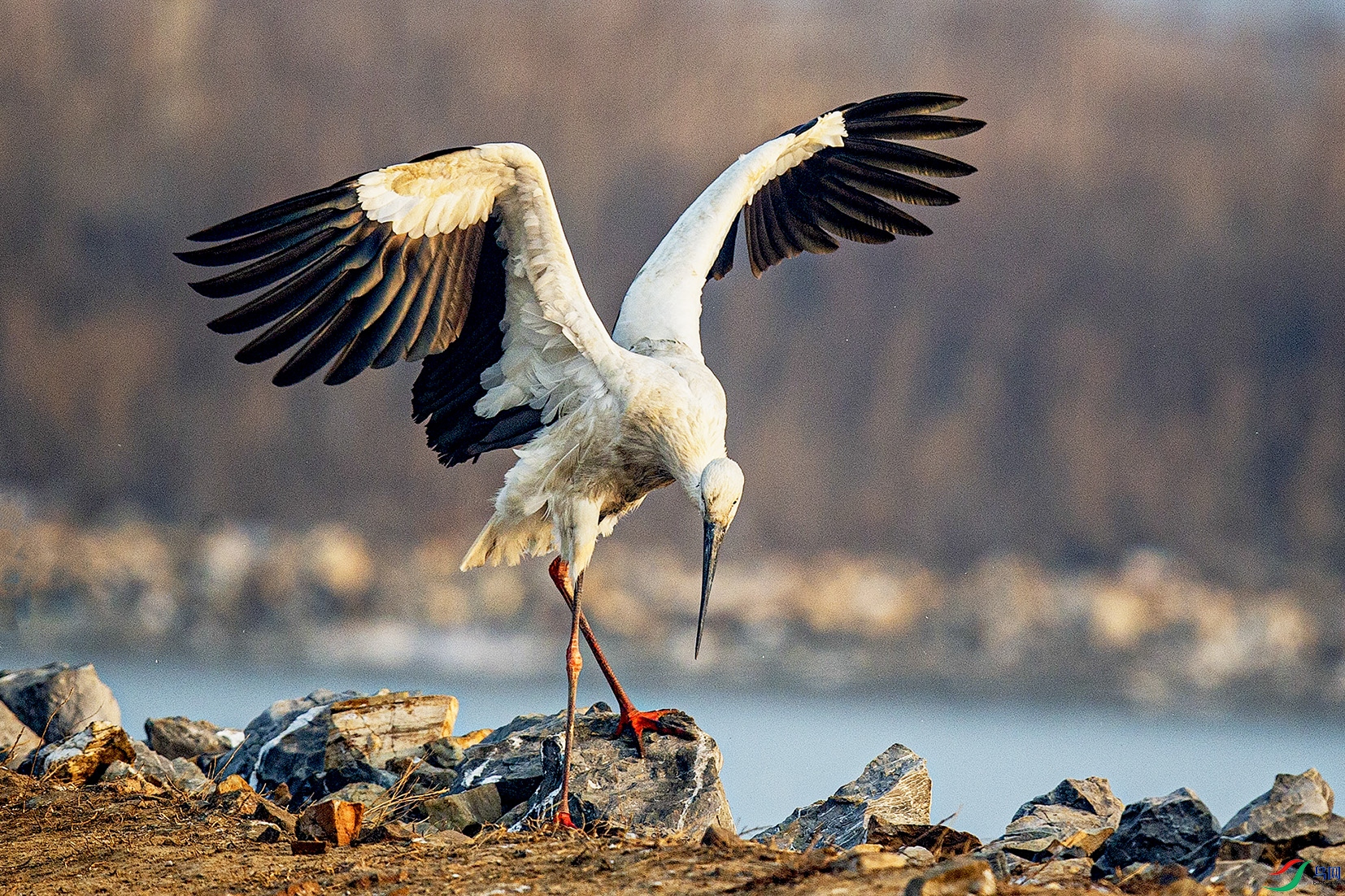 _MG_0029 ���� 2.jpg