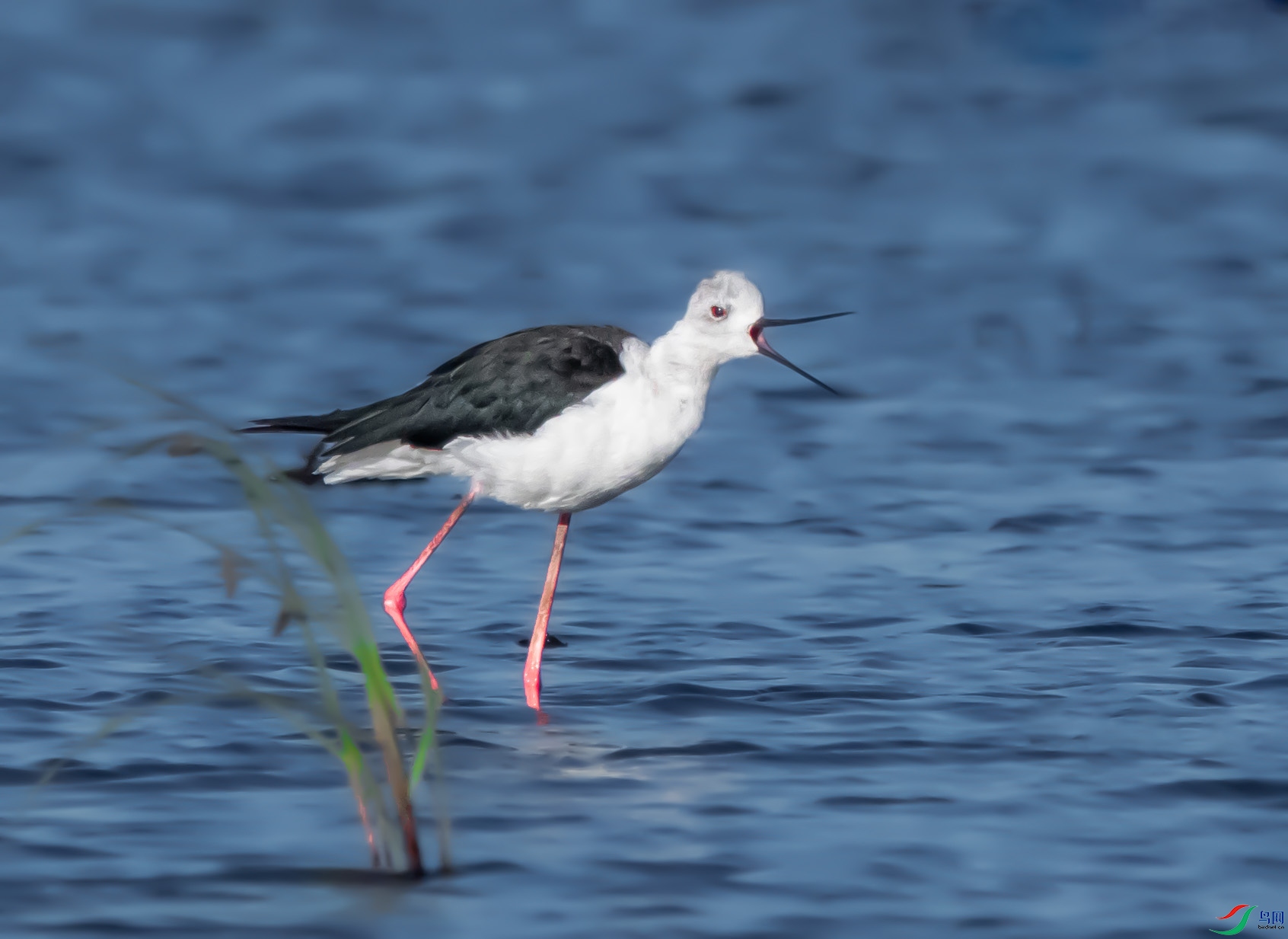 _DSC4895 ����.jpg