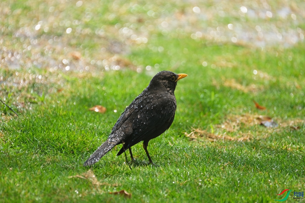 DSCF0566.1.jpg