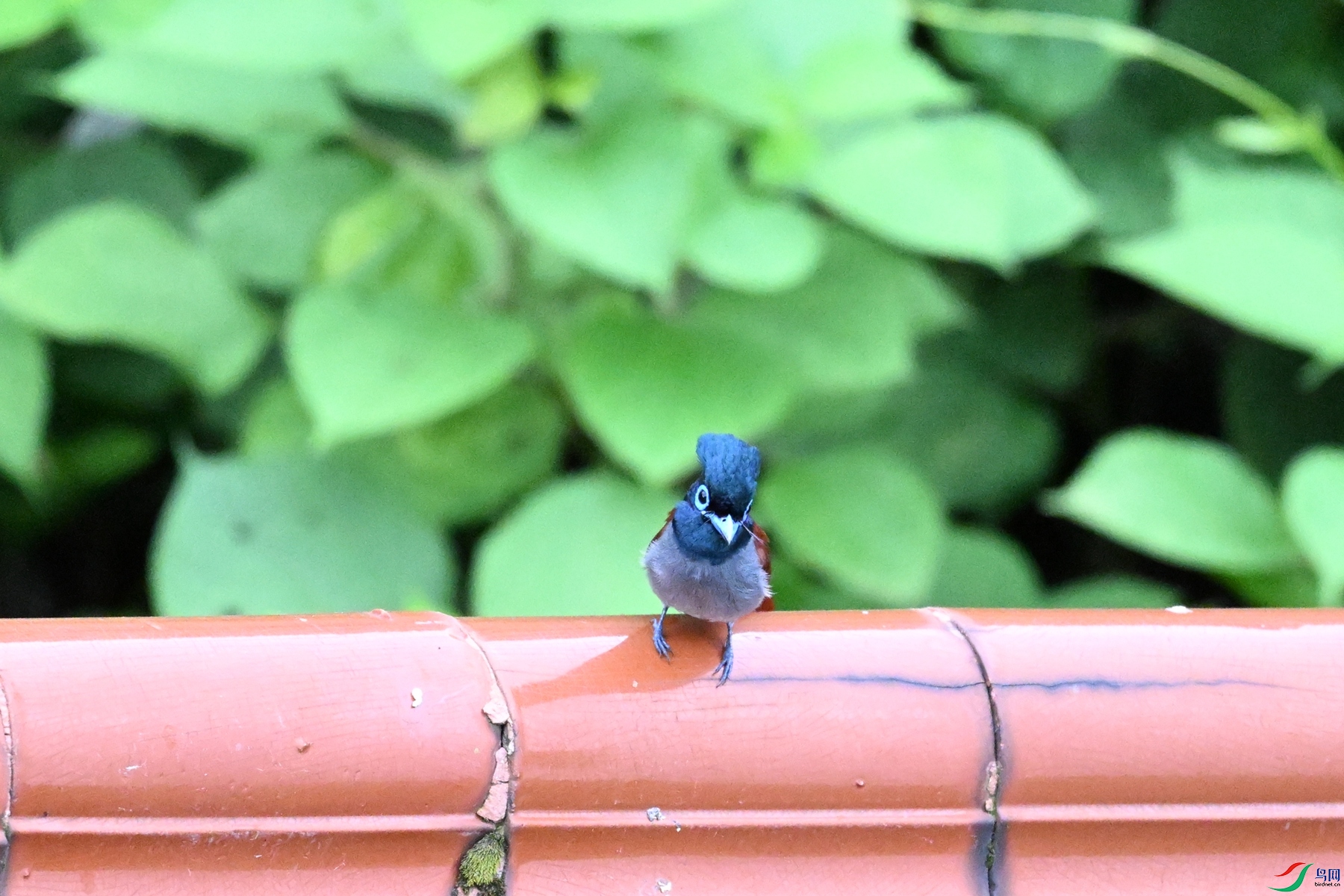 DSC_6820.JPG