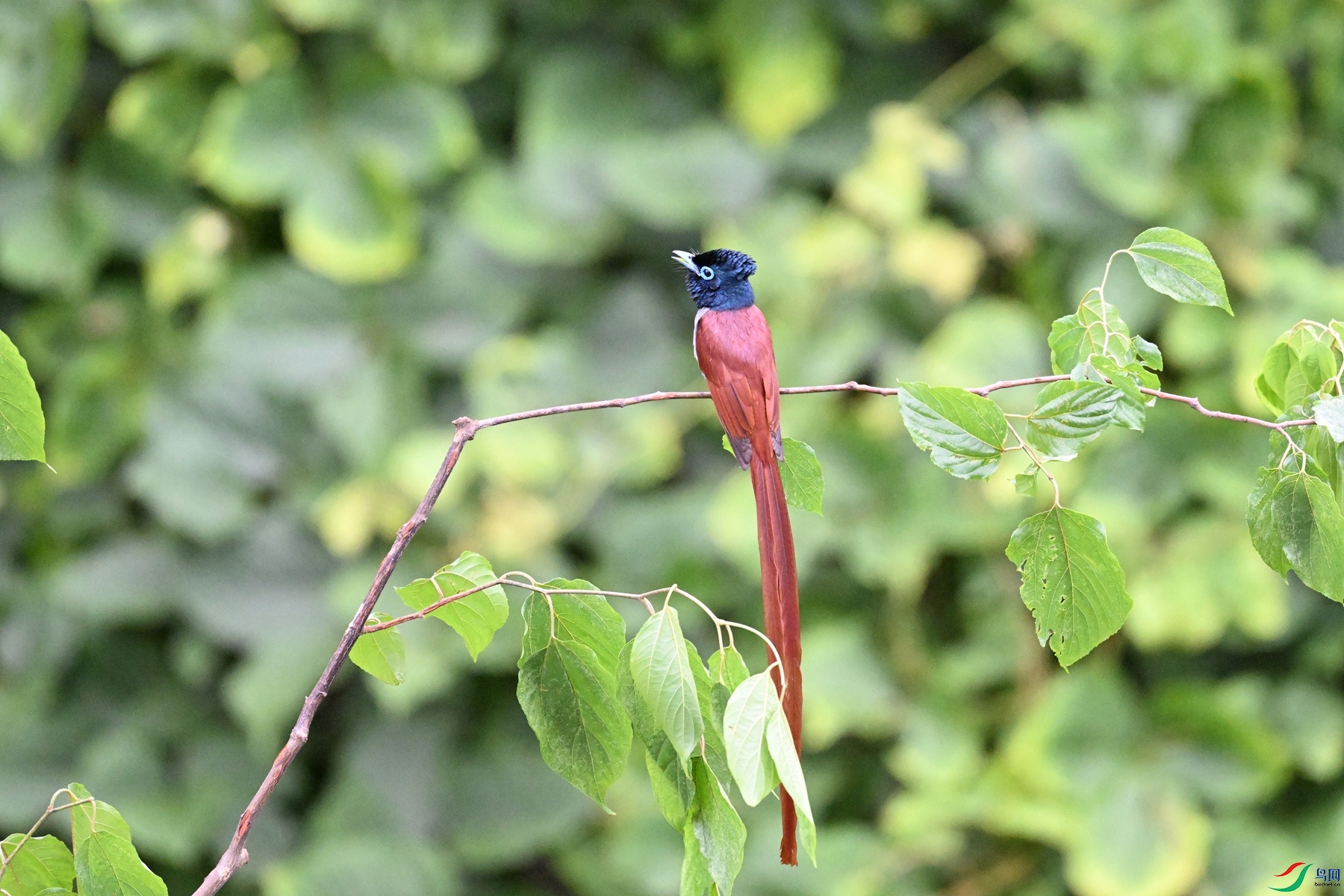 DSC_6801.JPG