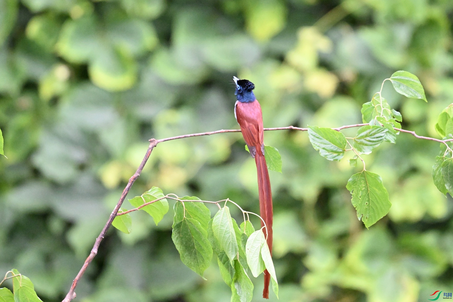 DSC_6802.JPG