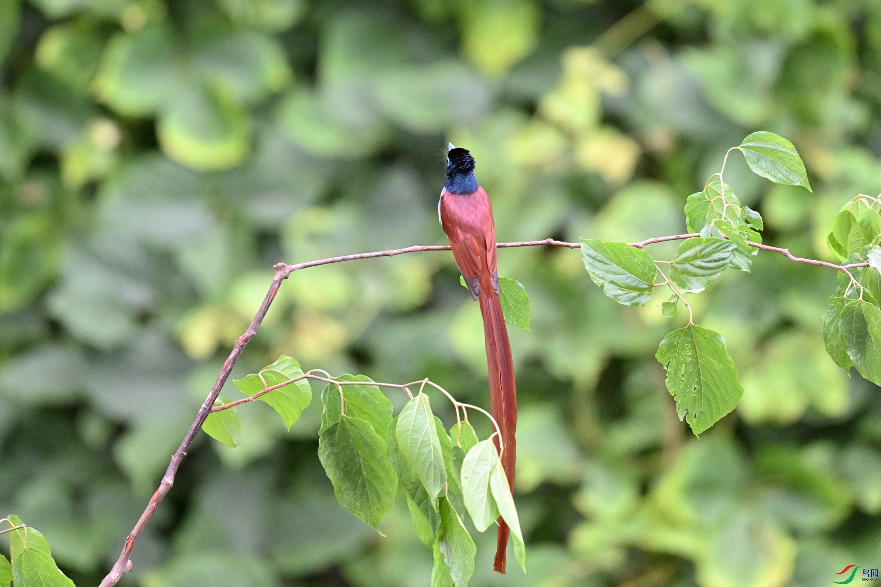 DSC_6803.JPG