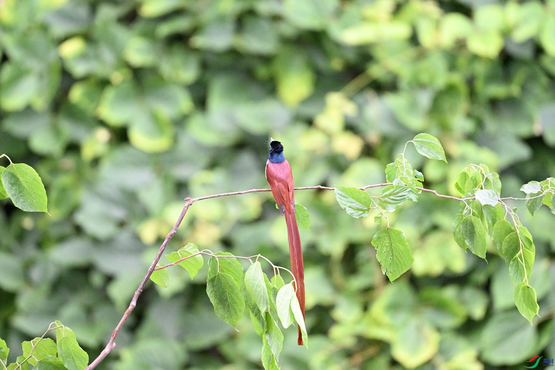 DSC_6804.JPG