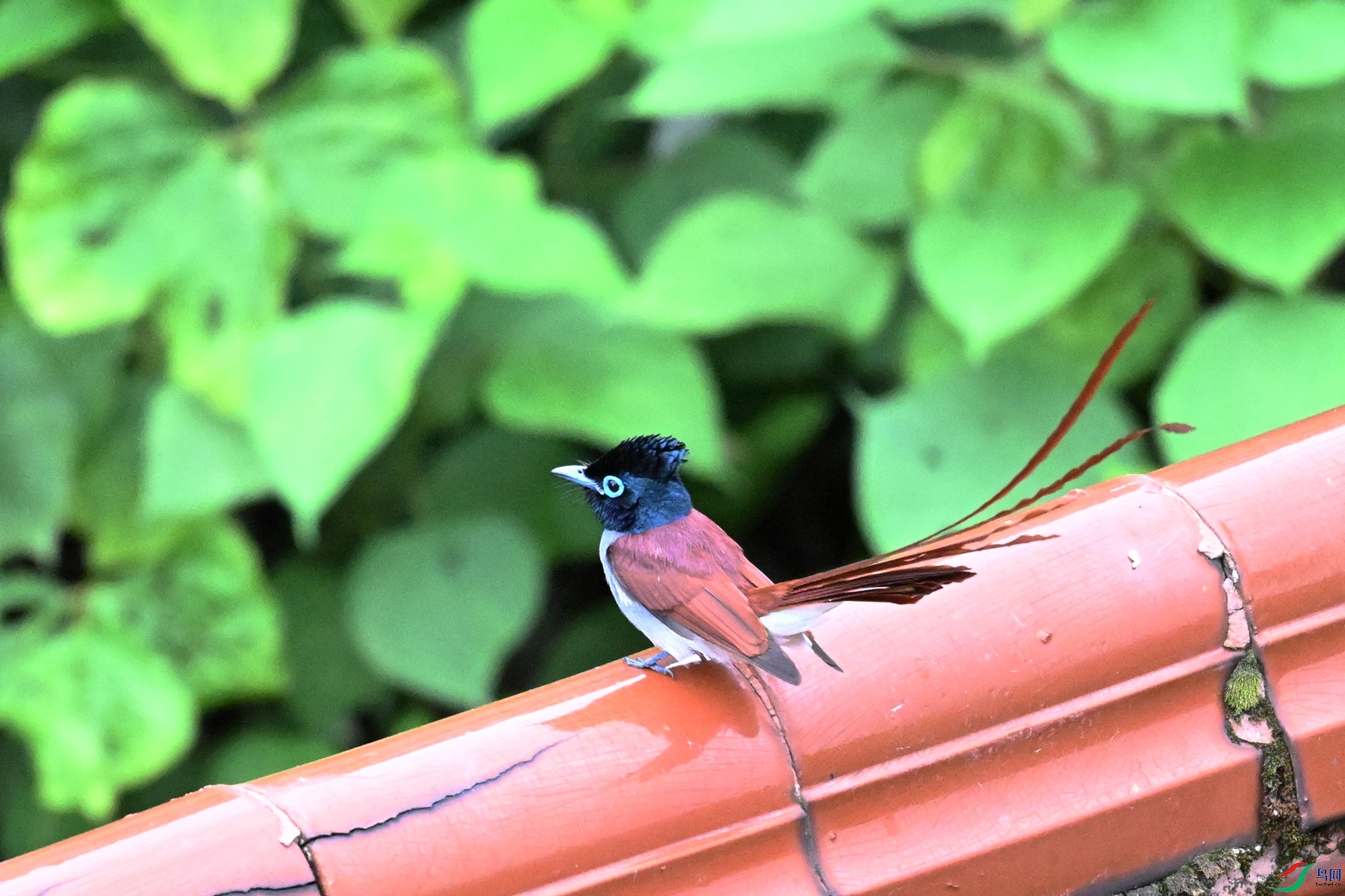 DSC_6833.JPG