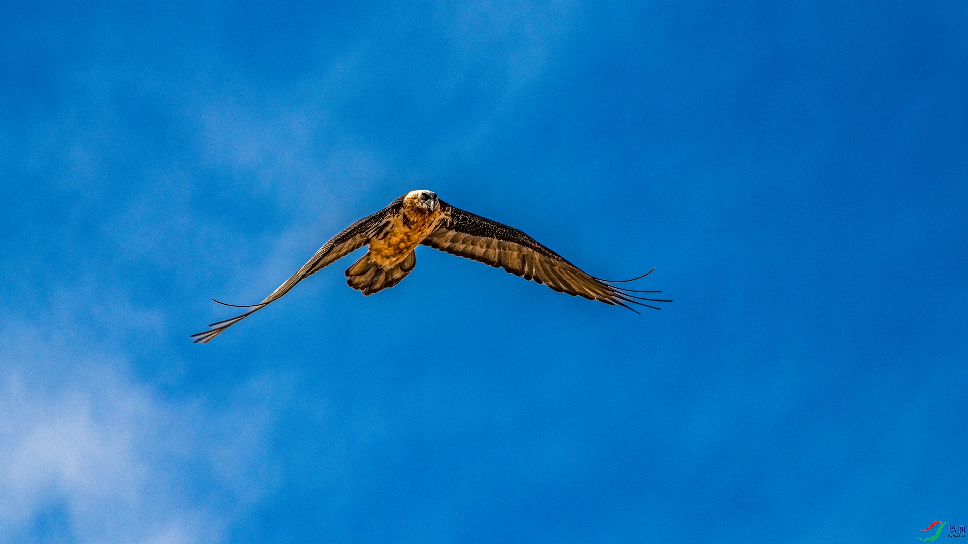 DSC_0014 ����_����.jpg