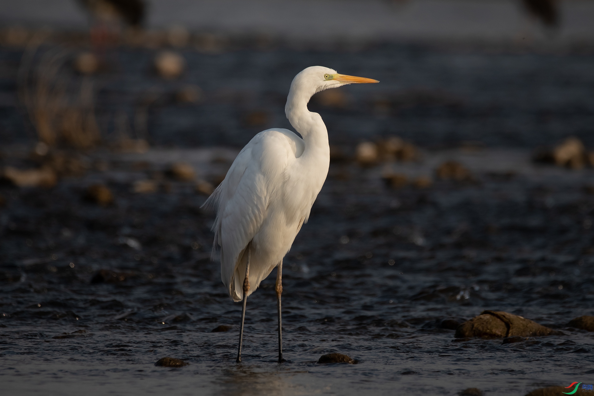 DSC_2871-20230213 ��.jpg