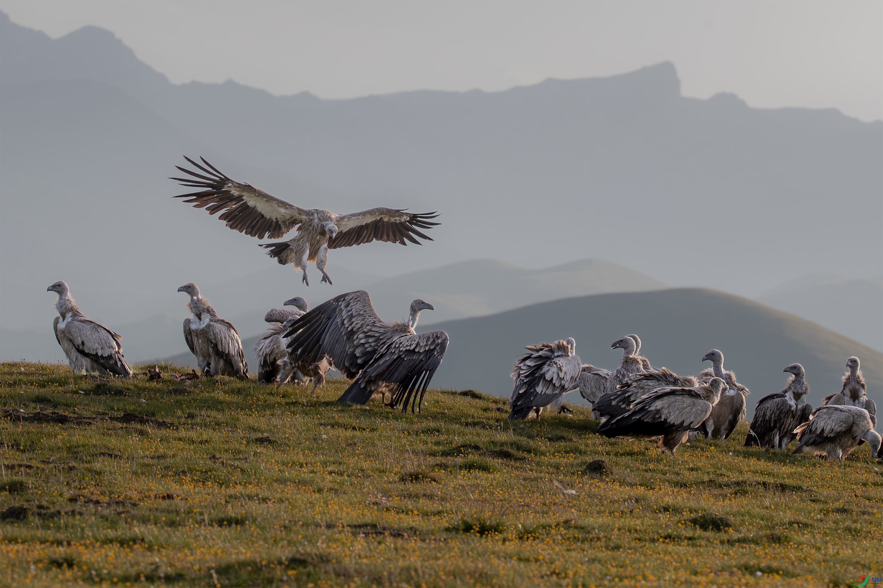 AY8I0807 ����.jpg