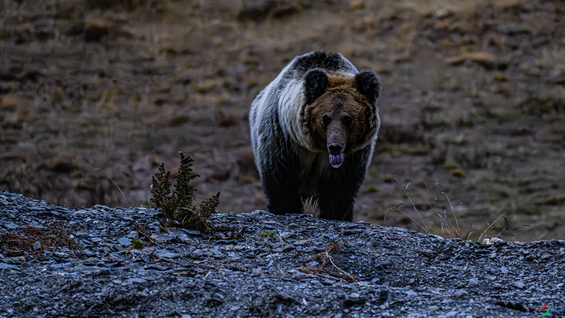 DSC_7479 ����_����.jpg