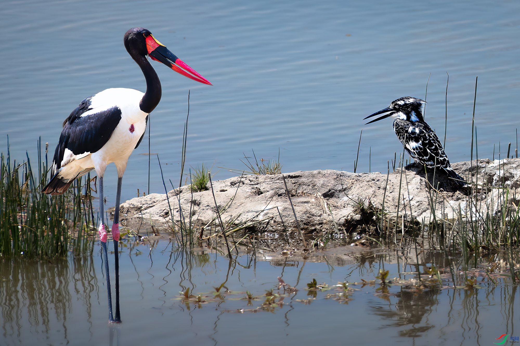 �����ٺͰ��㹷����