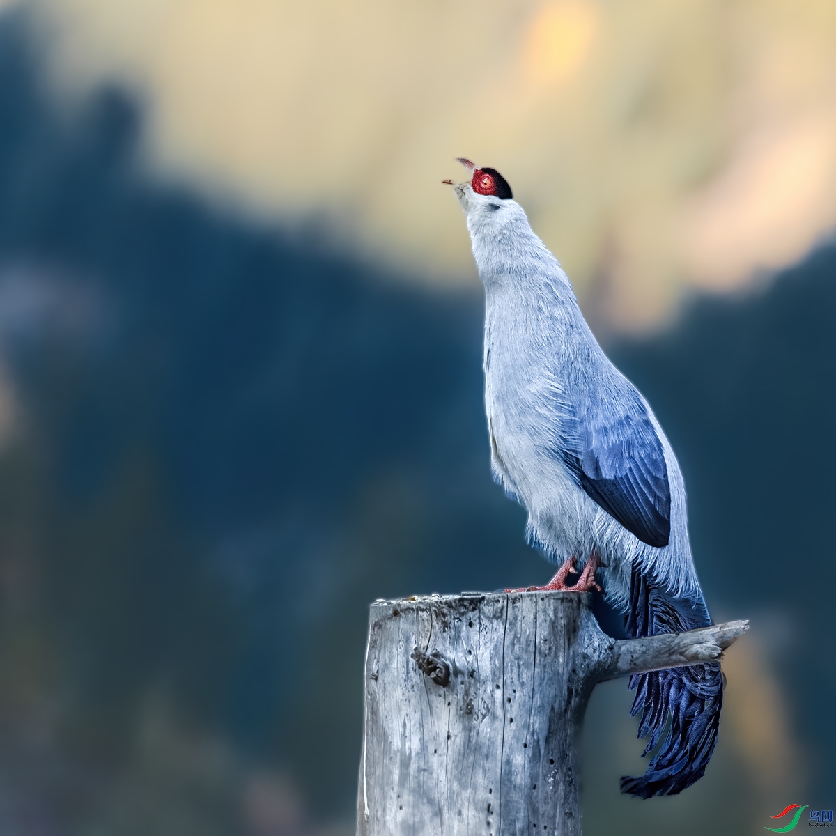 ������_J1R0150.jpg