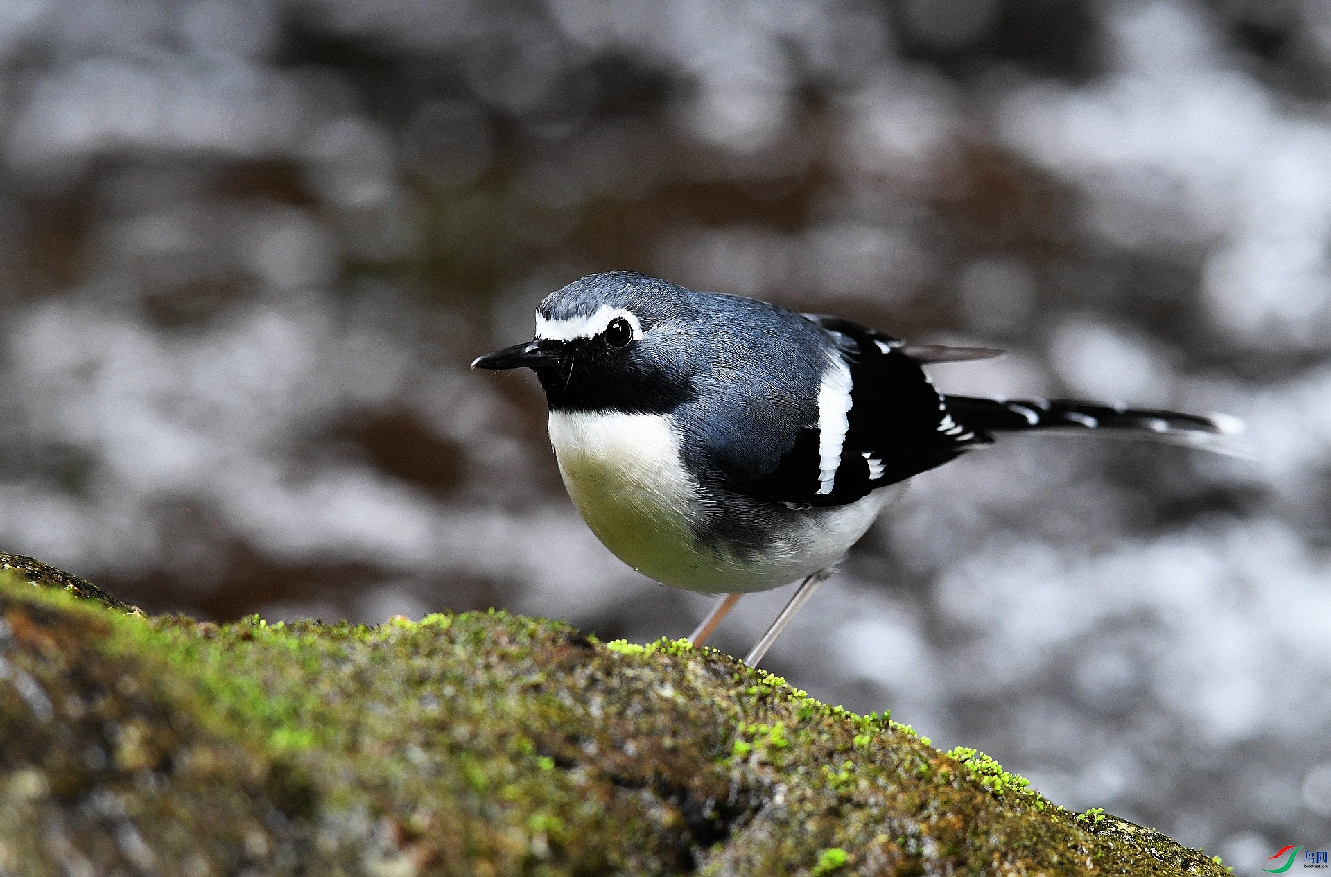 DSC_1759.jpg