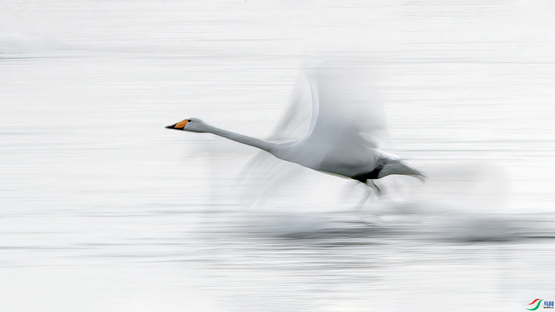 10.15 ���ɹ��Ϸ��492��ʦ��Ʒ  �������  �ٻ�2025��10��15�ջ�Ա��ҳ����.jpg