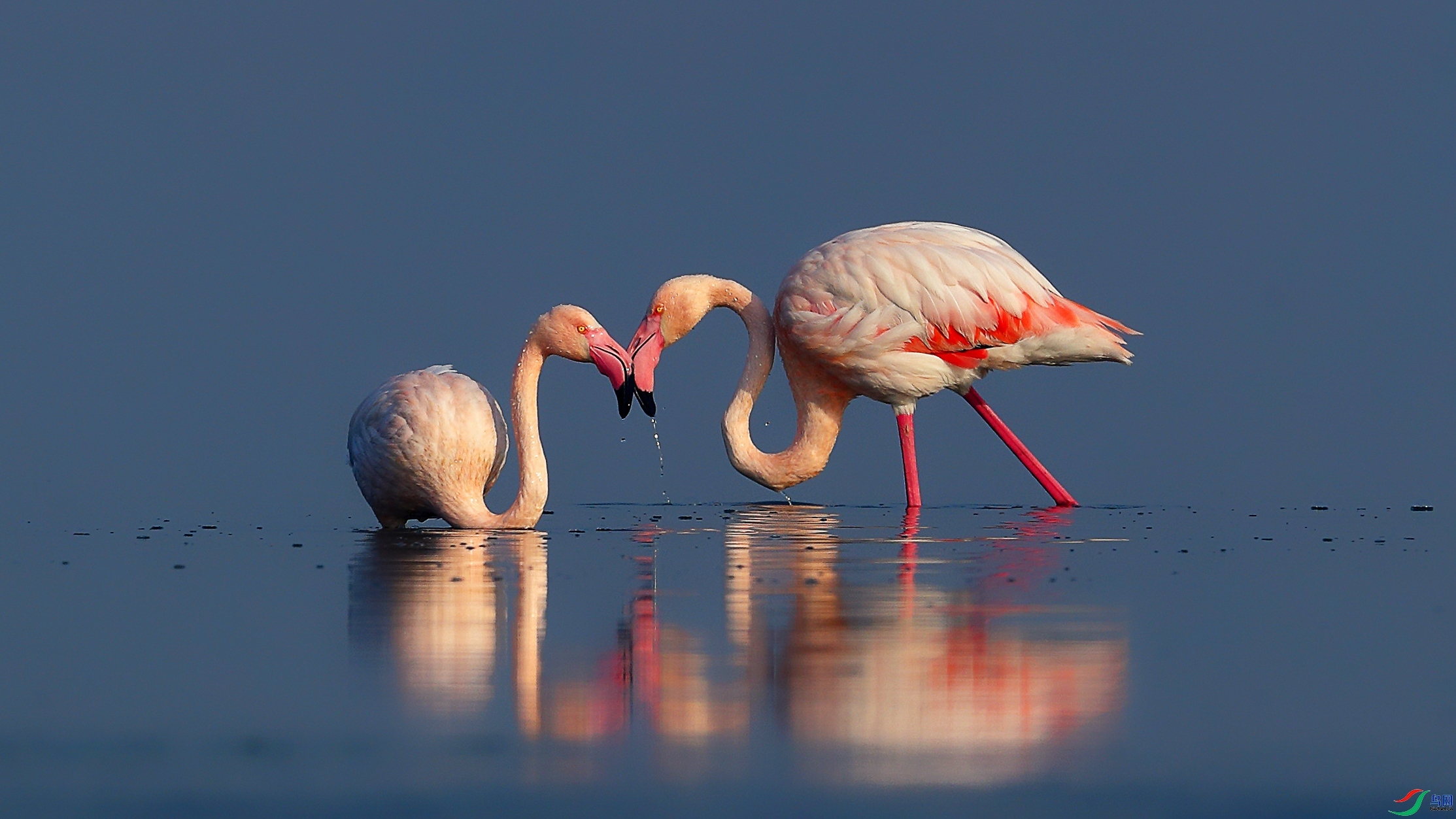 10.14 �޹�XIN��ʦ��Ʒ  ����  �ٻ�2025��10��14����Ӱʦ��ҳ����.jpg