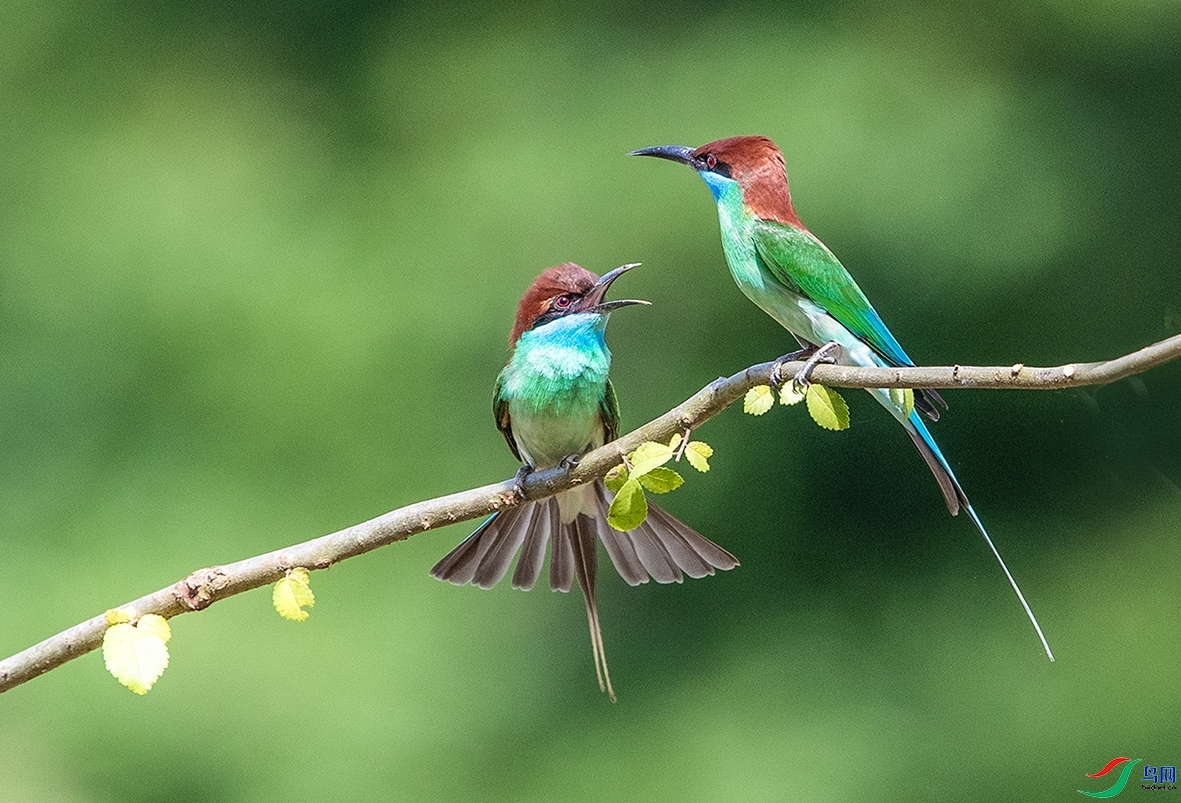 10.15 ȫ��������ʦ��Ʒ  �仢������  �ٻ�2025��10��15����Ӱʦ��ҳ����.jpg