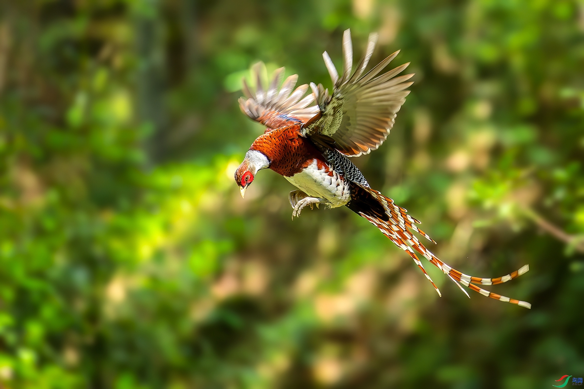 10.15 ��ҶŮʿ��ʦ��Ʒ  �׾���β��  �ٻ�2025��10��15����Ӱʦ��ҳ����.jpg