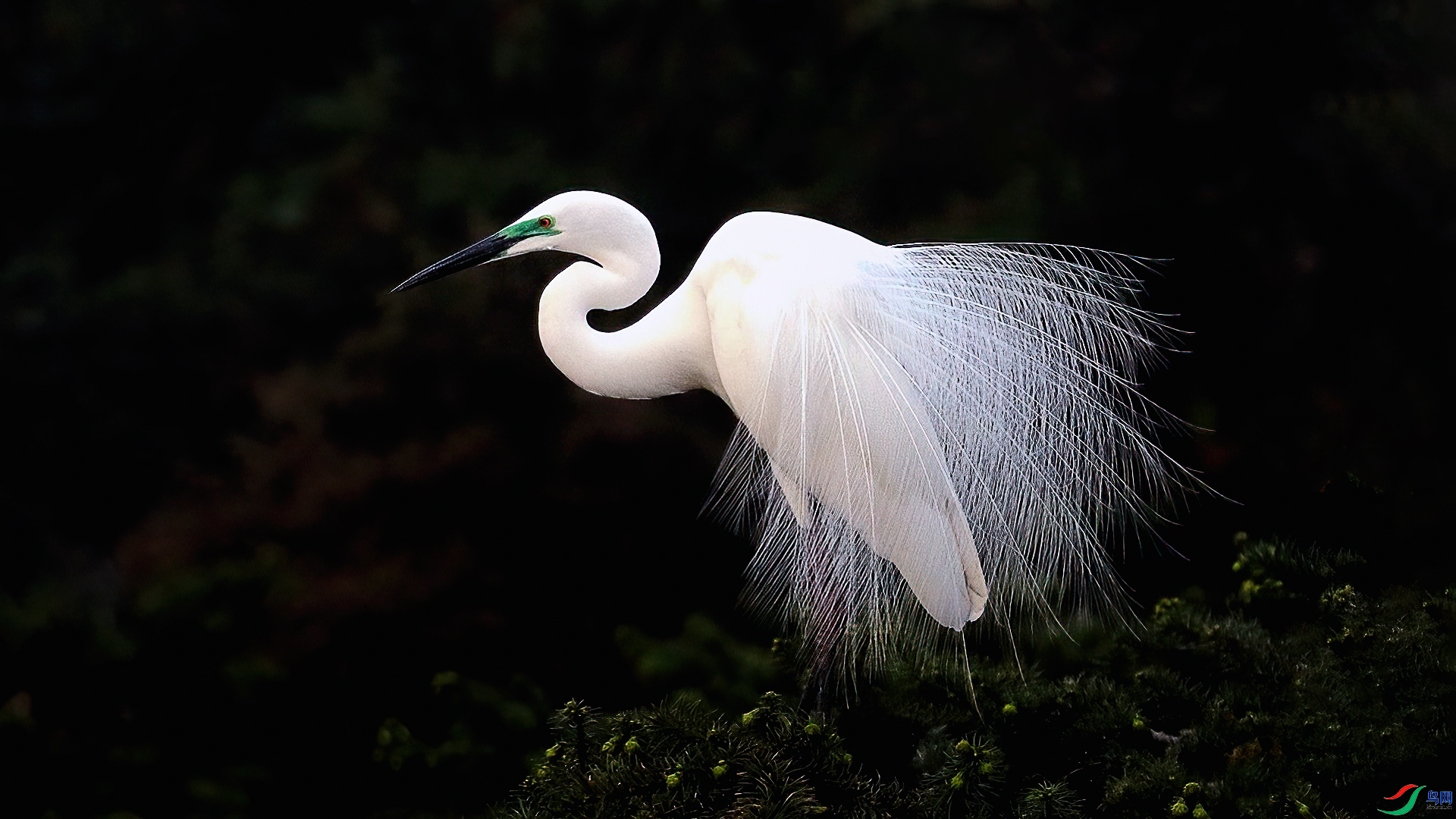 10.16 ��Ӿ��ʦ  �����  �ٻ�2025��10��16�ջ�Ա��ҳ����.jpg