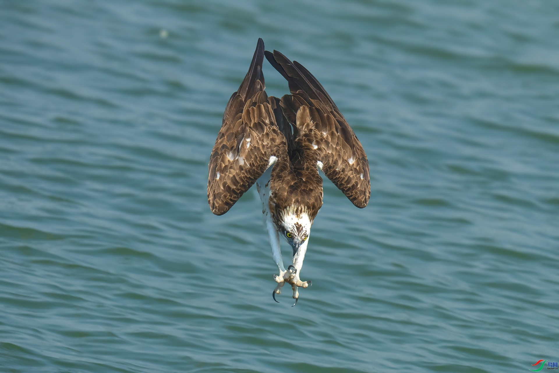 10.16 ��������ʦ��Ʒ  ��  �ٻ�2025��10��16����Ӱʦ��ҳ����.jpg