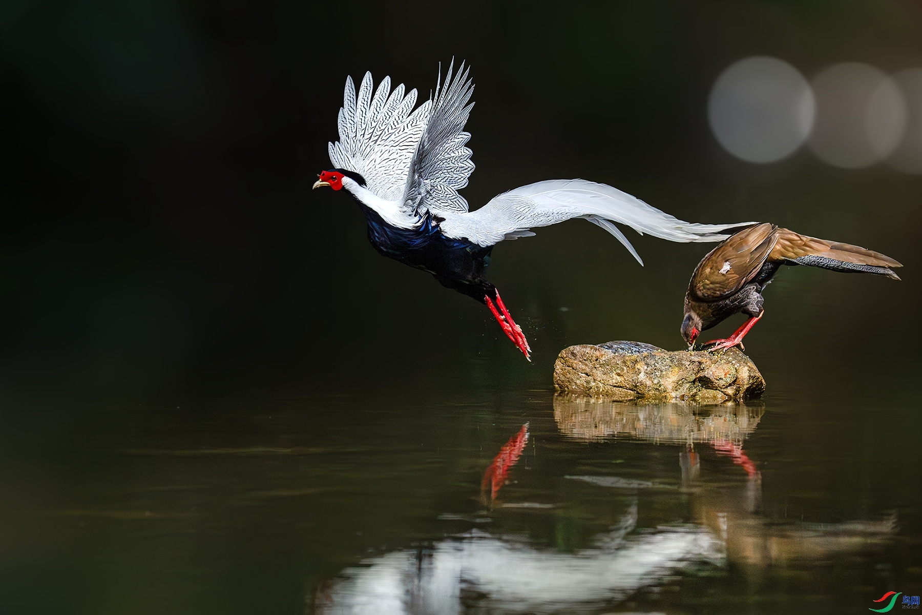 10.17 ���һ��(ΰ)��ʦ��Ʒ  ��Ծ  �ٻ�2025��10��17����Ӱʦ��ҳ����.jpg