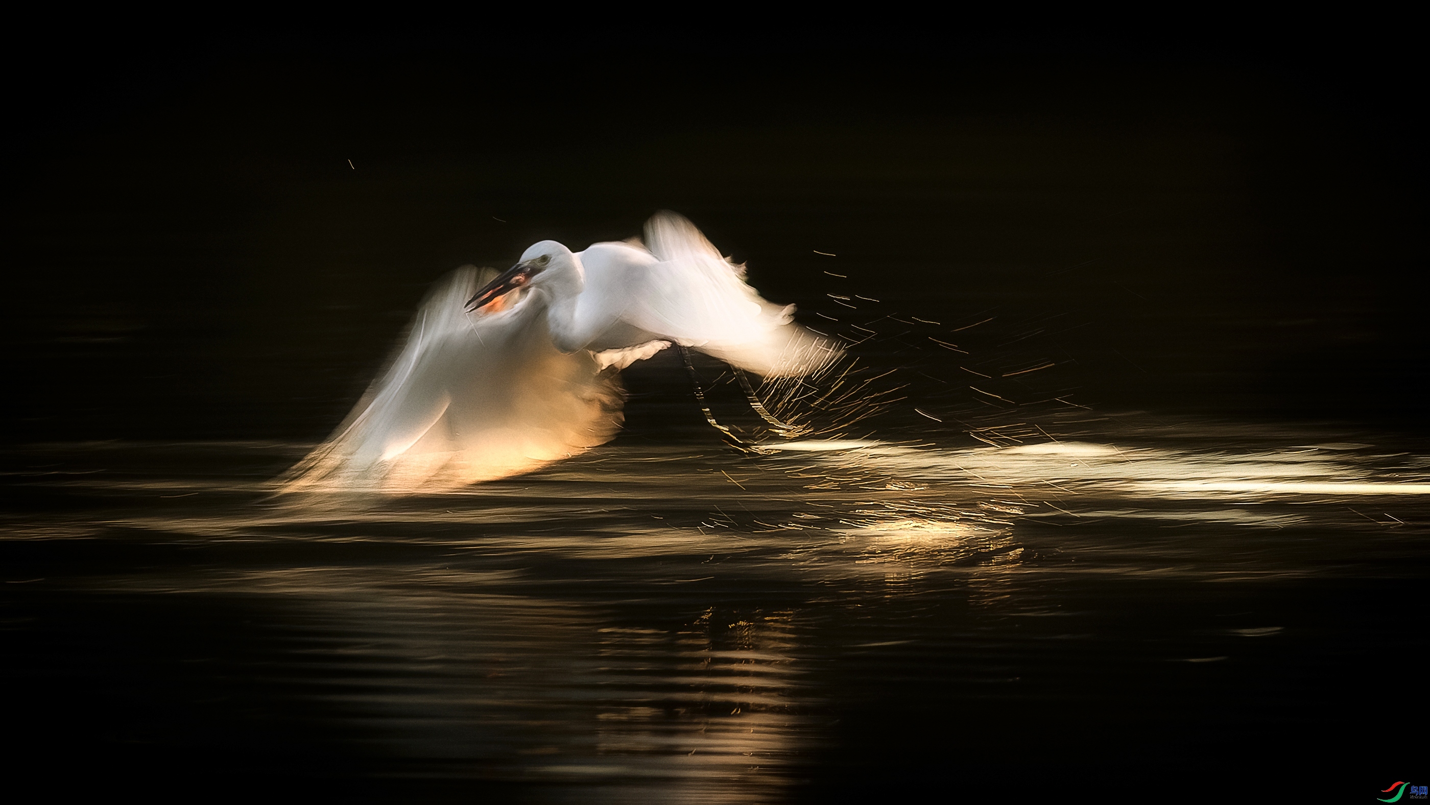 10.16 Hsia��ʦ��Ʒ  �������  �ٻ�2025��10��16�հ�����ҳ����.jpg