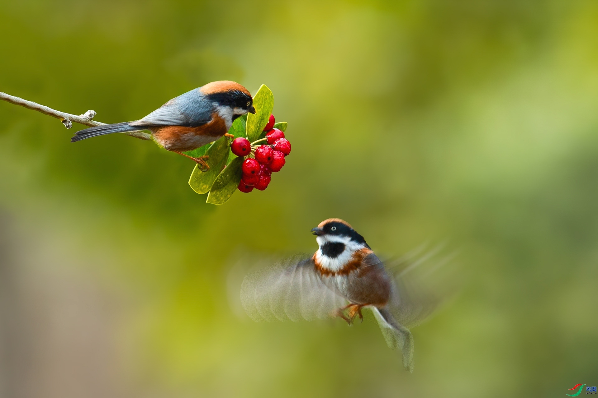 10.18 ��������ʦ��Ʒ  ��ͷ��βɽȸ  �ٻ�2025��10��18����Ӱʦ��ҳ����.jpg