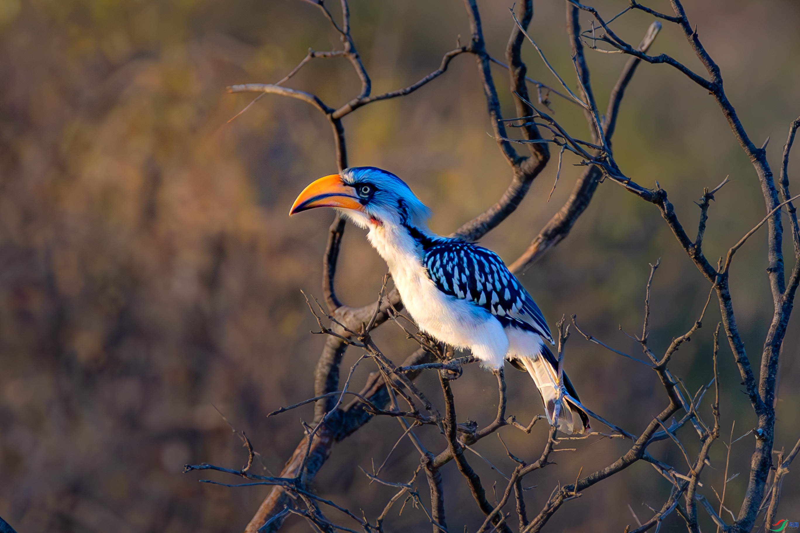 10.19 һ·�����ʦ��Ʒ  Ϭ��  �ٻ�2025��10��19����Ӱʦ��ҳ����.jpg