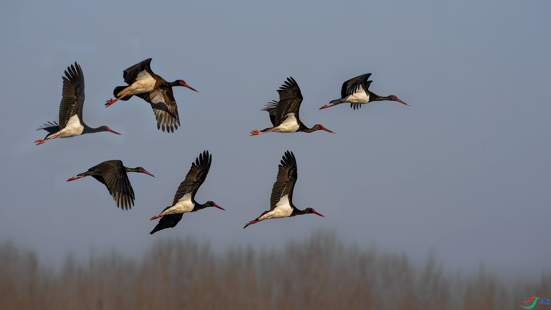 10.21 ��������ʦ��Ʒ  ����   �ٻ�2025��10��21����Ӱʦ��ҳ����.jpg