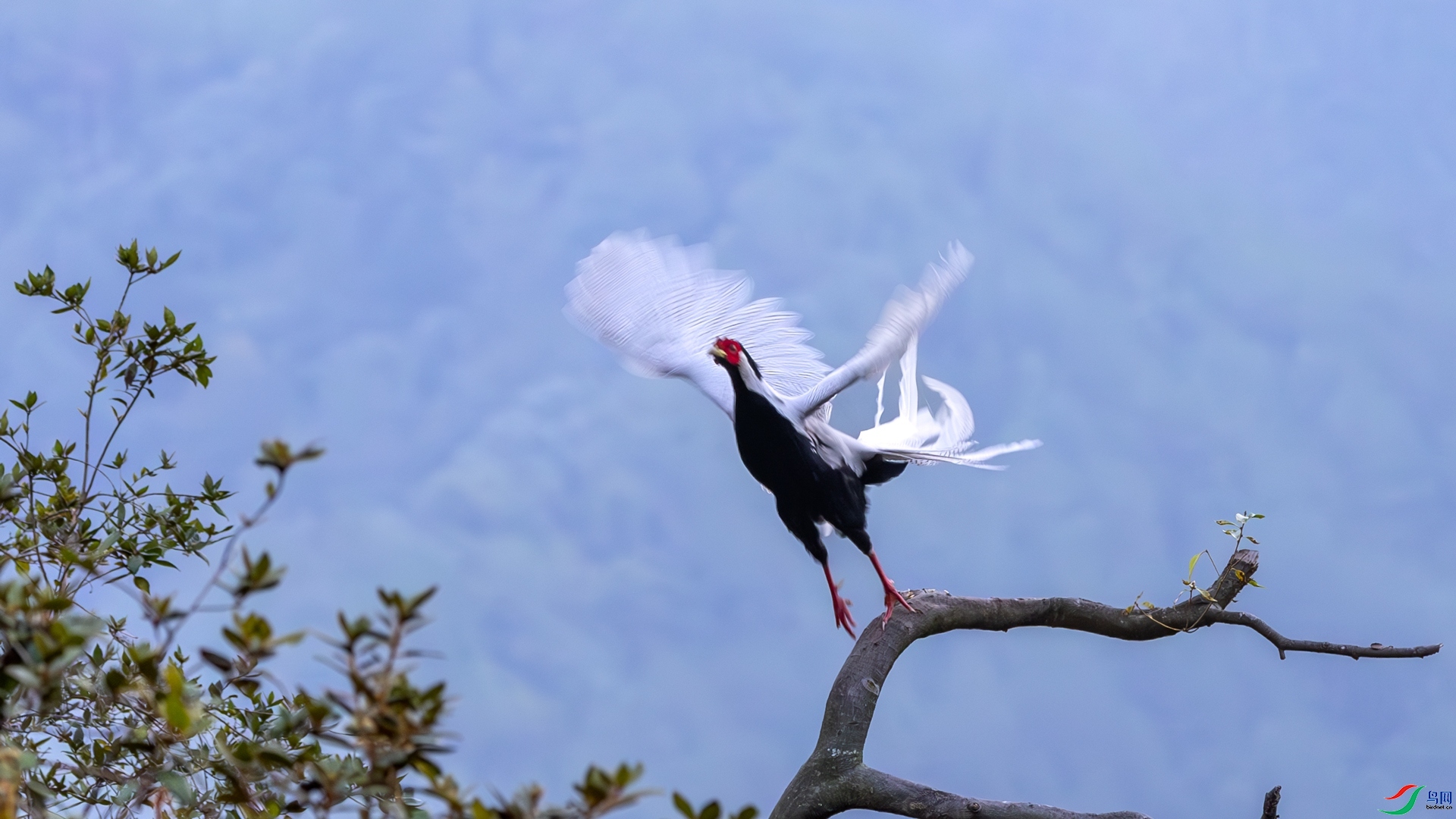 10.20 ��Ů��·����ʦ��Ʒ  ����   �ٻ�2025��10��20�հ�����ҳ����.jpg