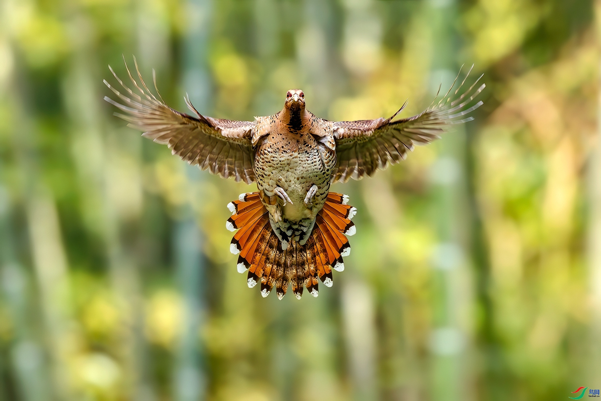 10.18 ��ҶŮʿ��ʦ��Ʒ  �������  �ٻ�2025��10��18����Ӱʦ��ҳ����.jpg