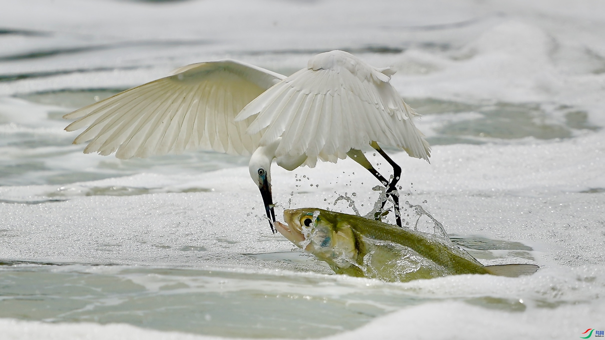 10.20 13906988571��ʦ��Ʒ  С��������  �ٻ�2025��10��20�ջ�Ա��ҳ����.jpg