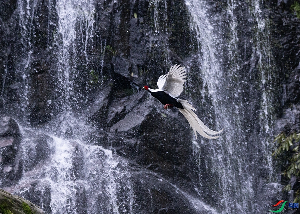 10.22 ������ʦ��Ʒ  �ٲ�����  �ٻ�2025��10��22�ջ�Ա��ҳ����.jpg