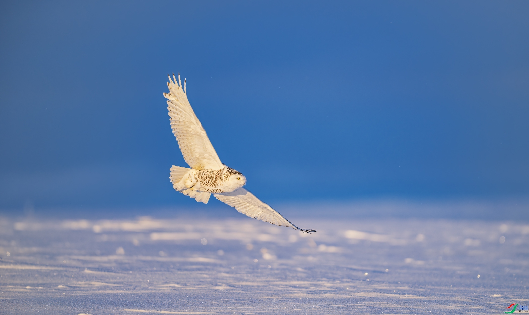 10.21 ����������ʦ��Ʒ  �����صľ���  �ٻ�2025��10��21�հ�����ҳ����.jpg