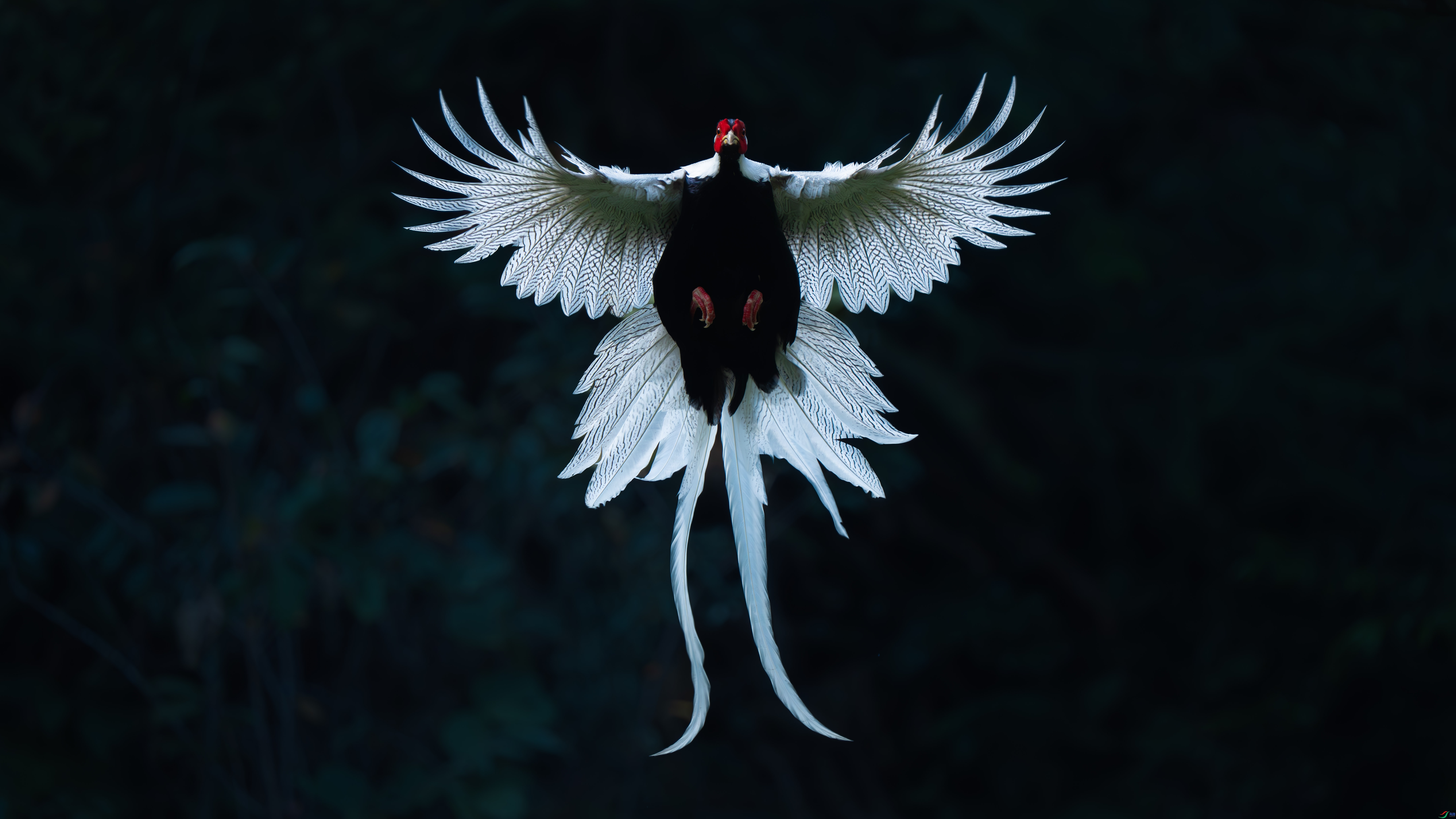 10.22 ľ����ʦ��Ʒ  չ��  �ٻ�2025��10��22�հ�����ҳ����.jpg