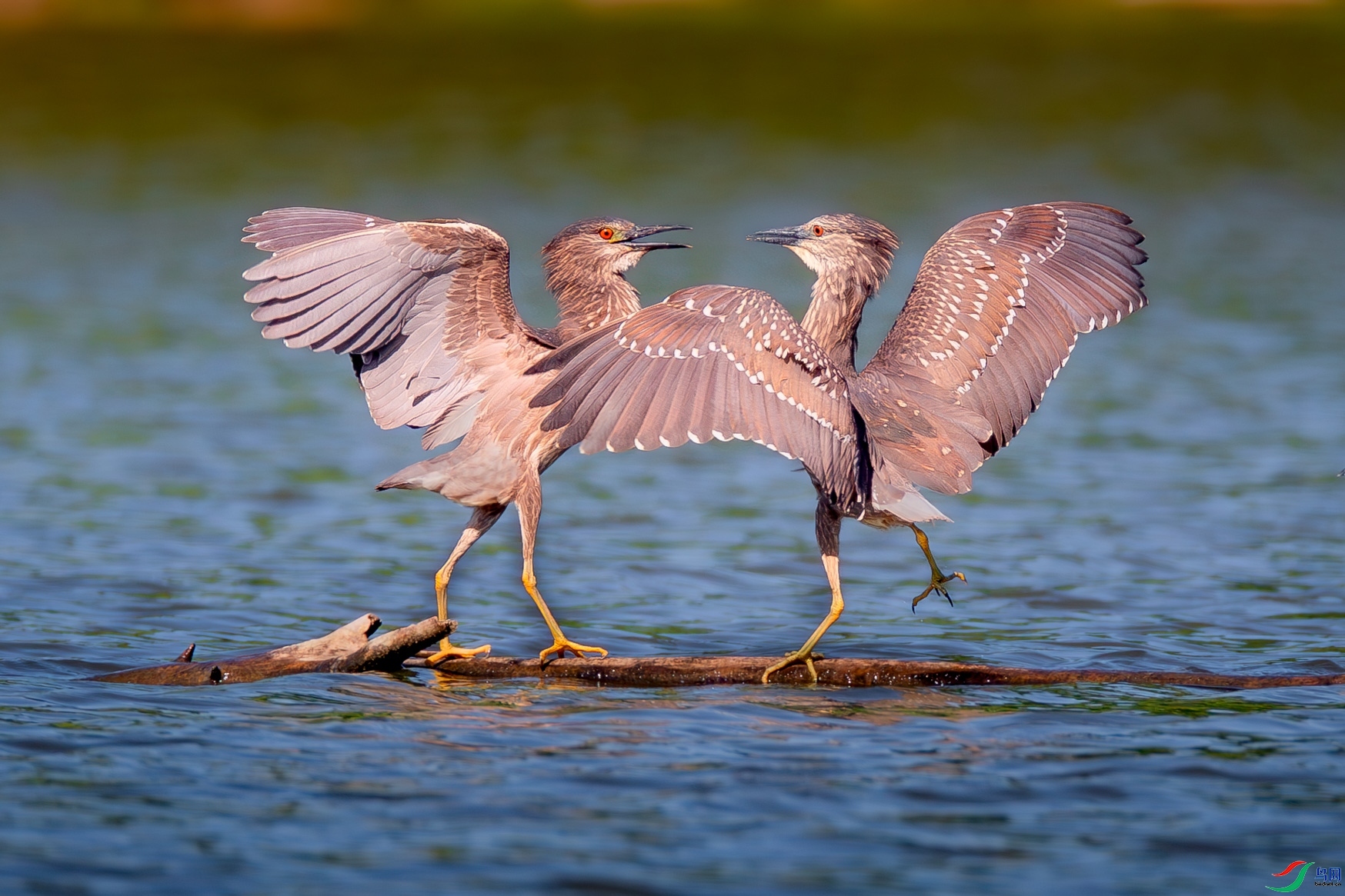 10.22 һ·�����ʦ��Ʒ  ����  �ٻ�2025��10��22����Ӱʦ��ҳ����.jpg