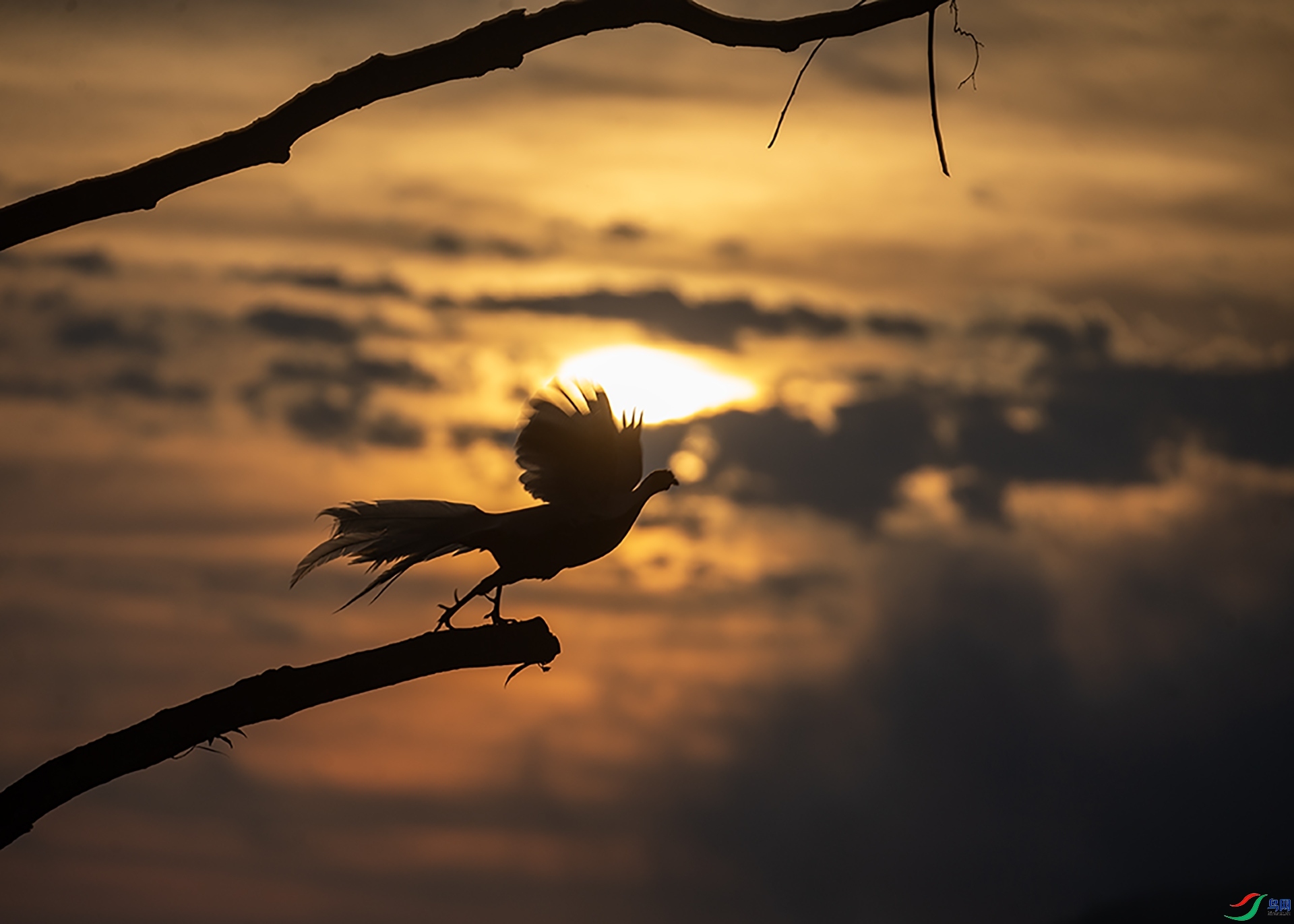 10.23 ������ʦ��Ʒ �ճ�  �ٻ�2025��10��23�ջ�Ա��ҳ����.jpg