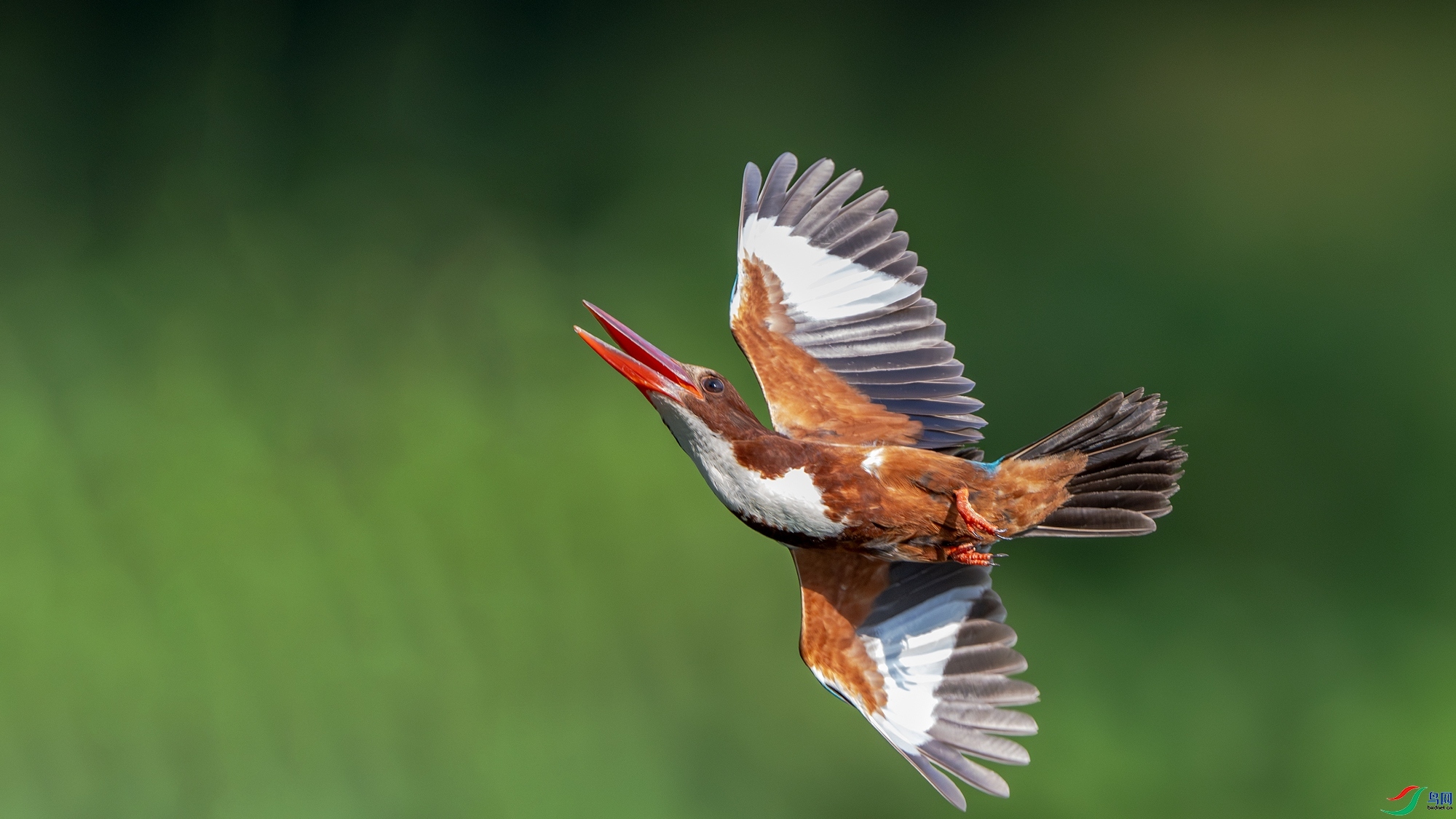 10.21 ������ʦ��Ʒ  �����赸  �ٻ�2025��10��21����Ӱʦ��ҳ����.jpg