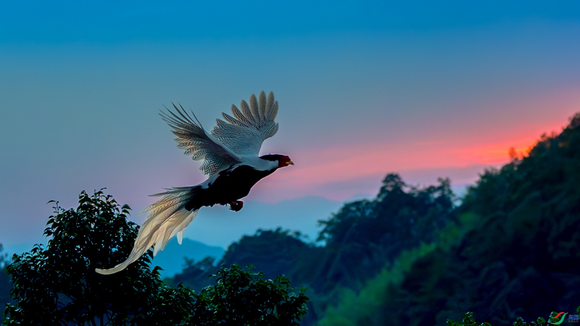 10.23 ��Ů��·����ʦ��Ʒ  Ϧ���µİ���  �ٻ�2025��10��23�հ�����ҳ����.jpg