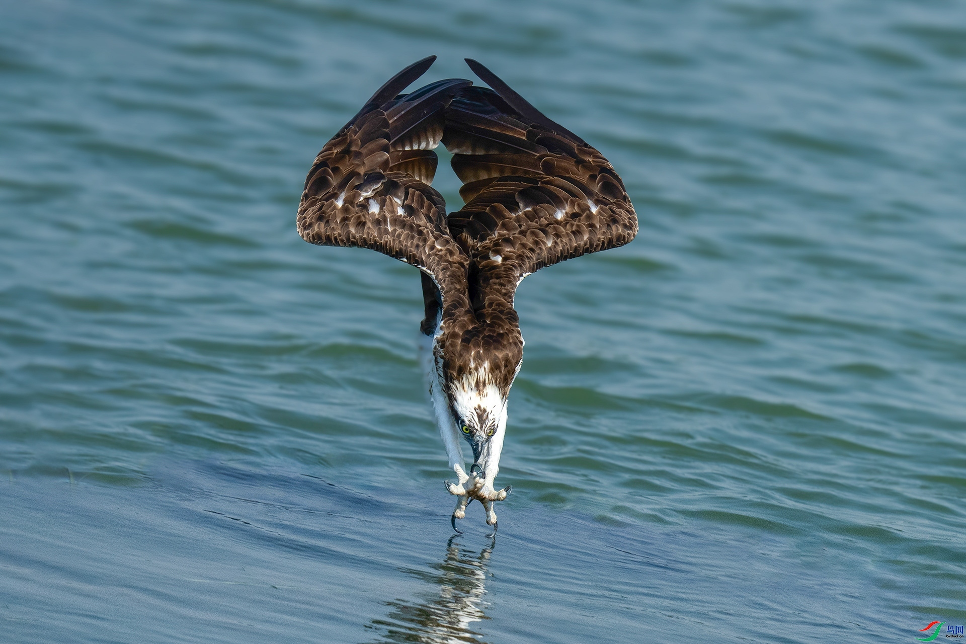 10.23 ��������ʦ��Ʒ  ��  �ٻ�2025��10��23����Ӱʦ��ҳ����.jpg